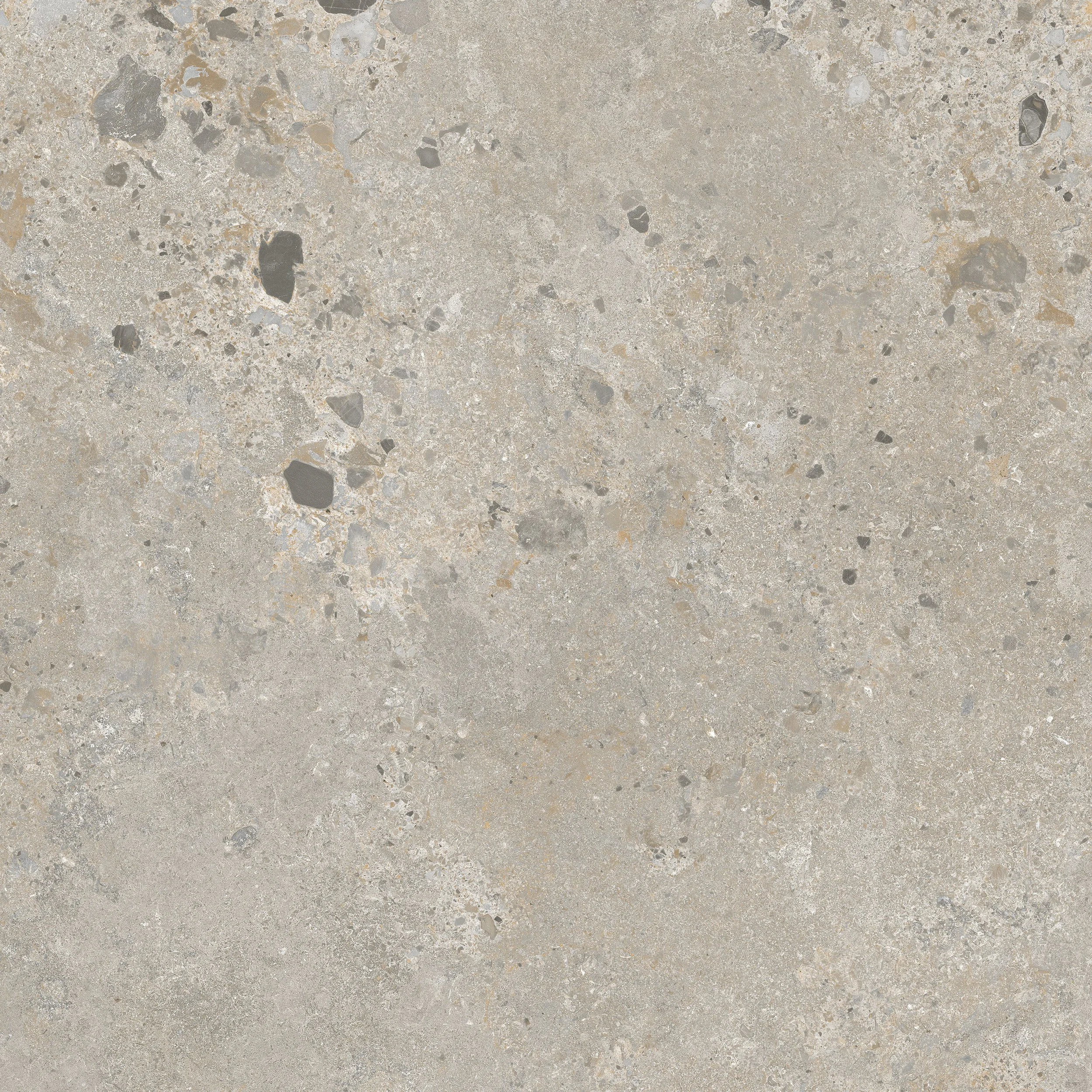 Vera Cool 600x600 faces (1).jpg