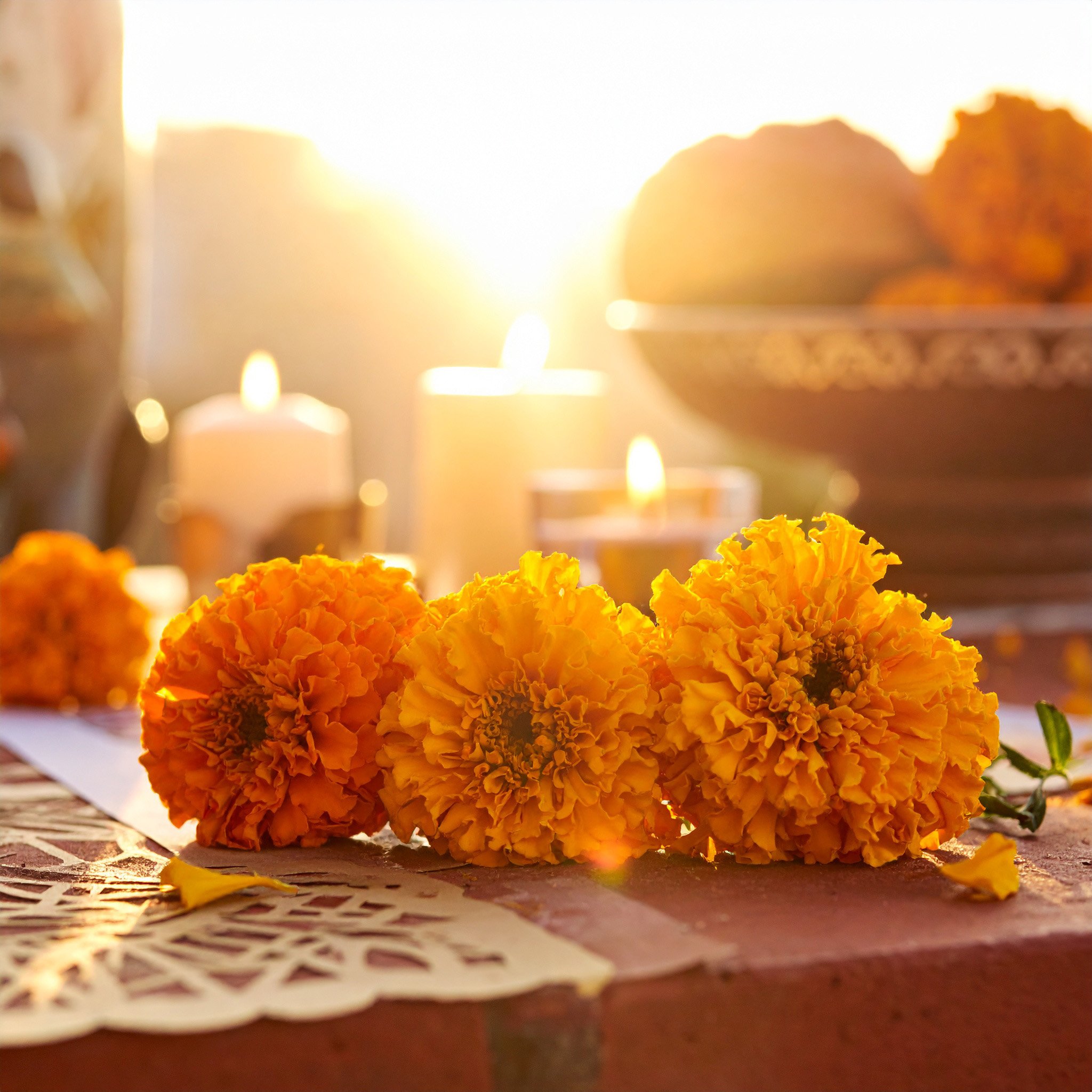 El secreto de la ofrenda: Haz que tu cempasúchil dure hasta el 2 de noviembre.