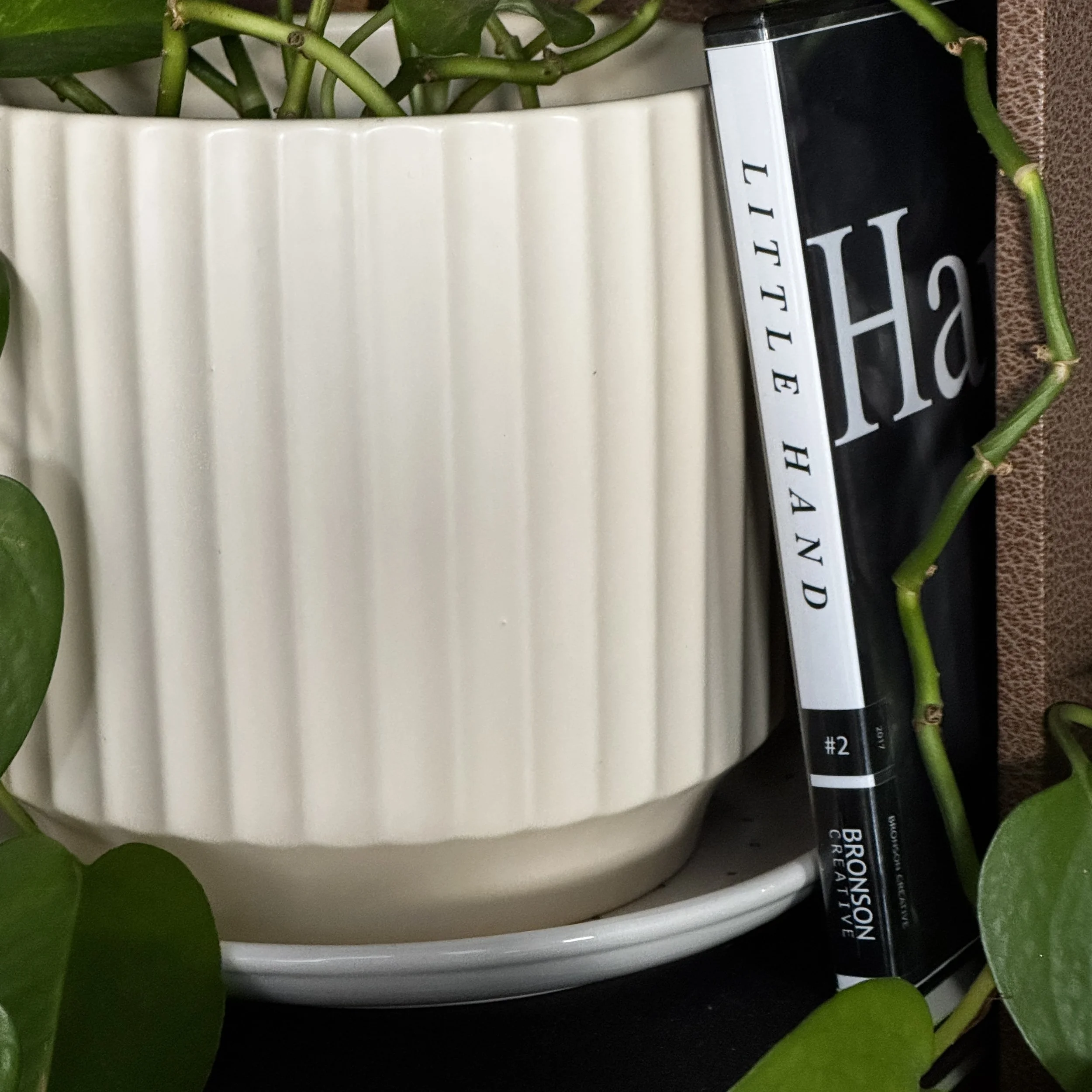 Little Hand | DVD and Digital