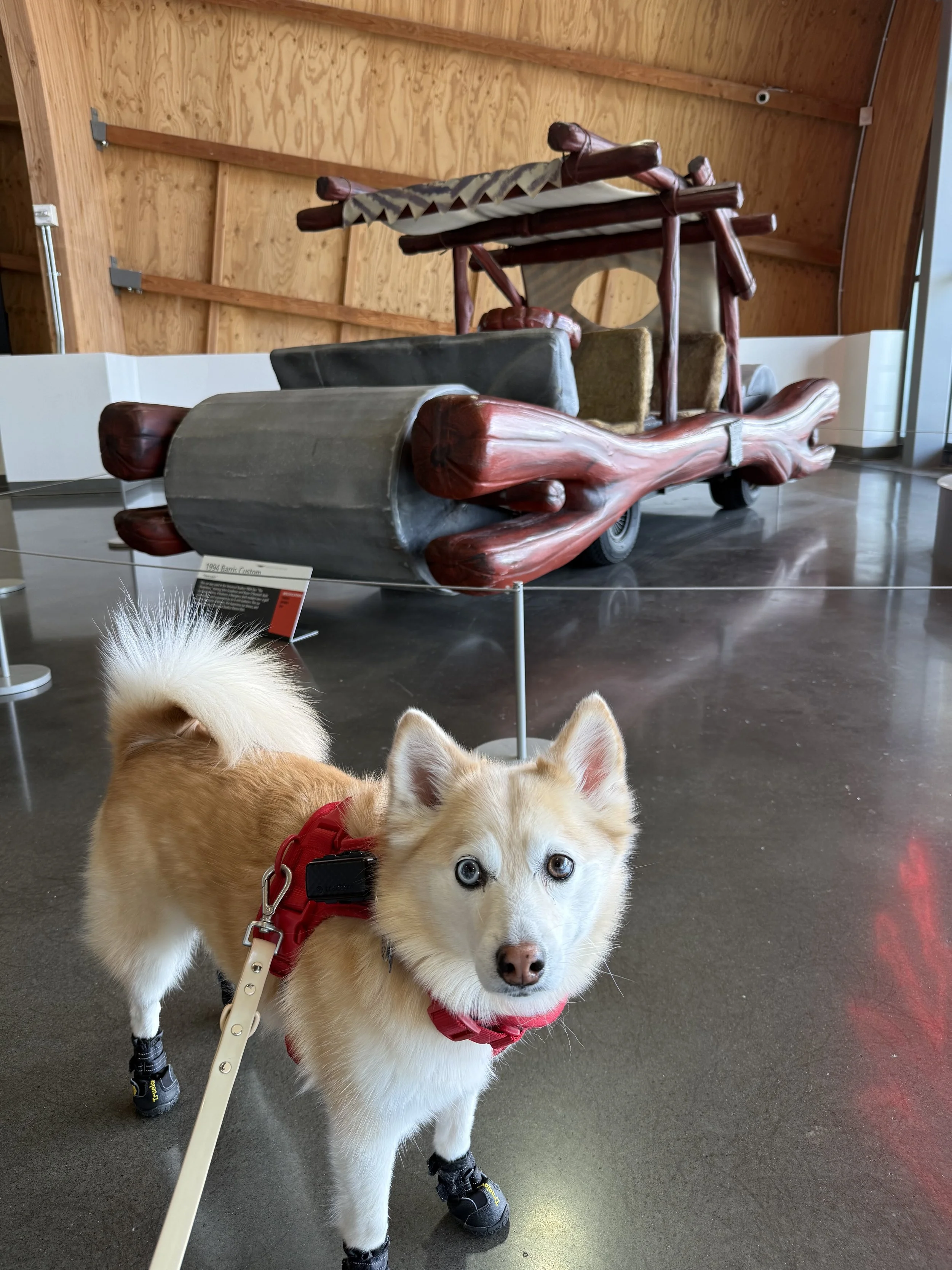 A Visit to LeMay – America’s Car Museum