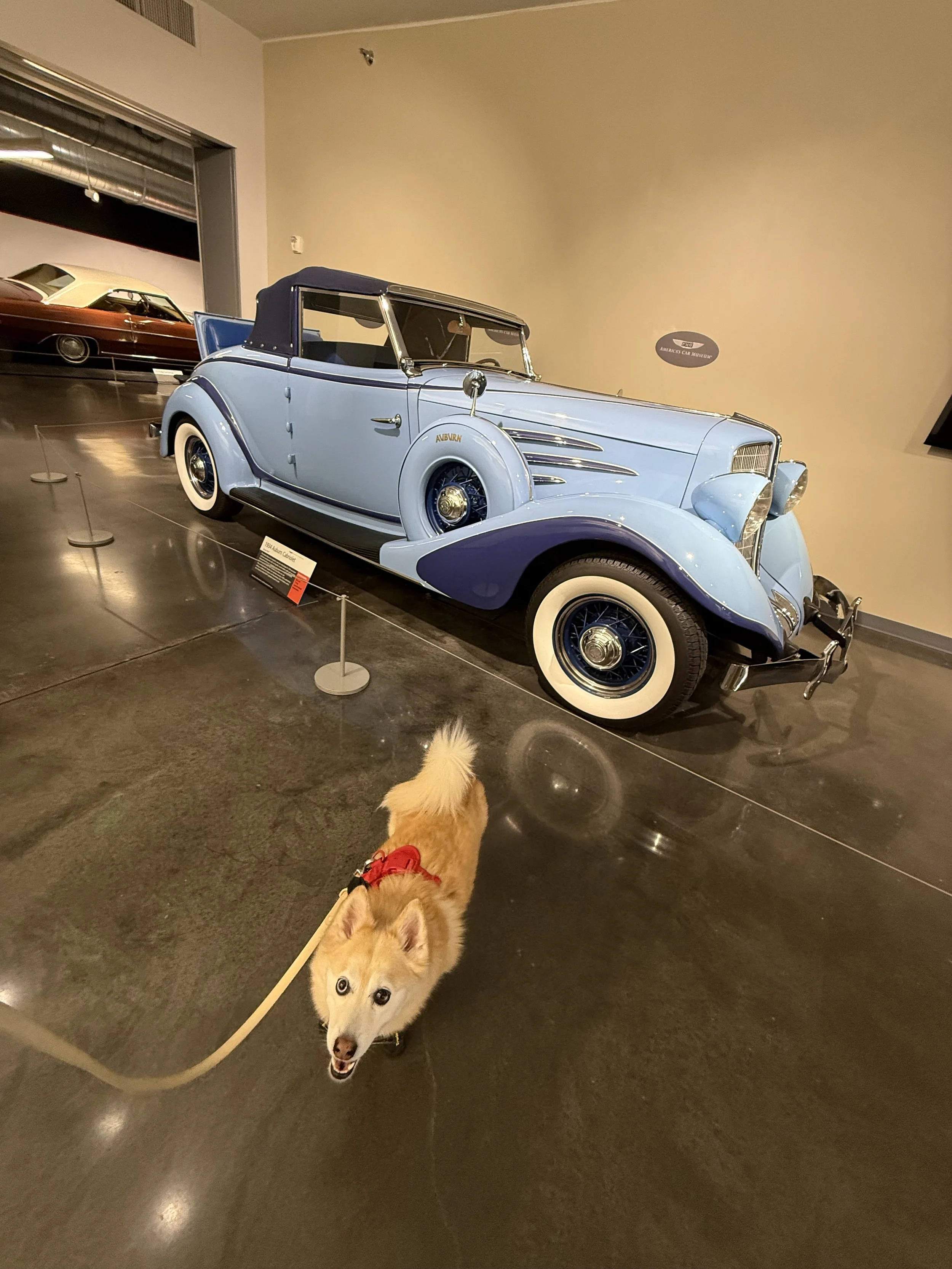 1934 Auburn Cabriolet