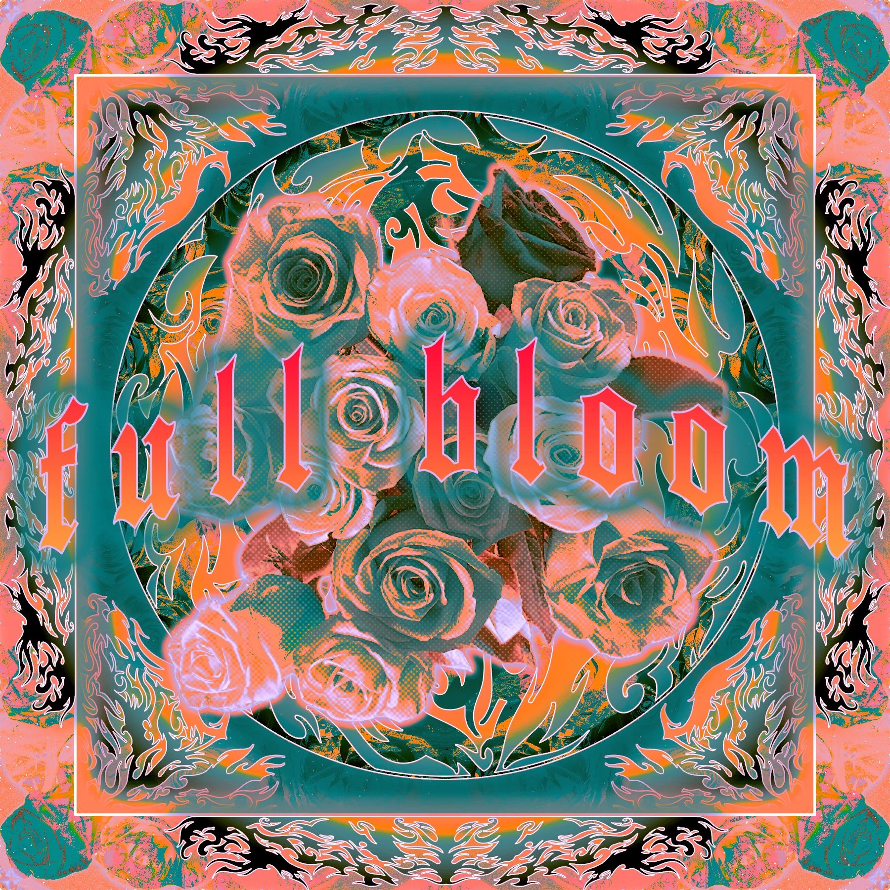 Bloom