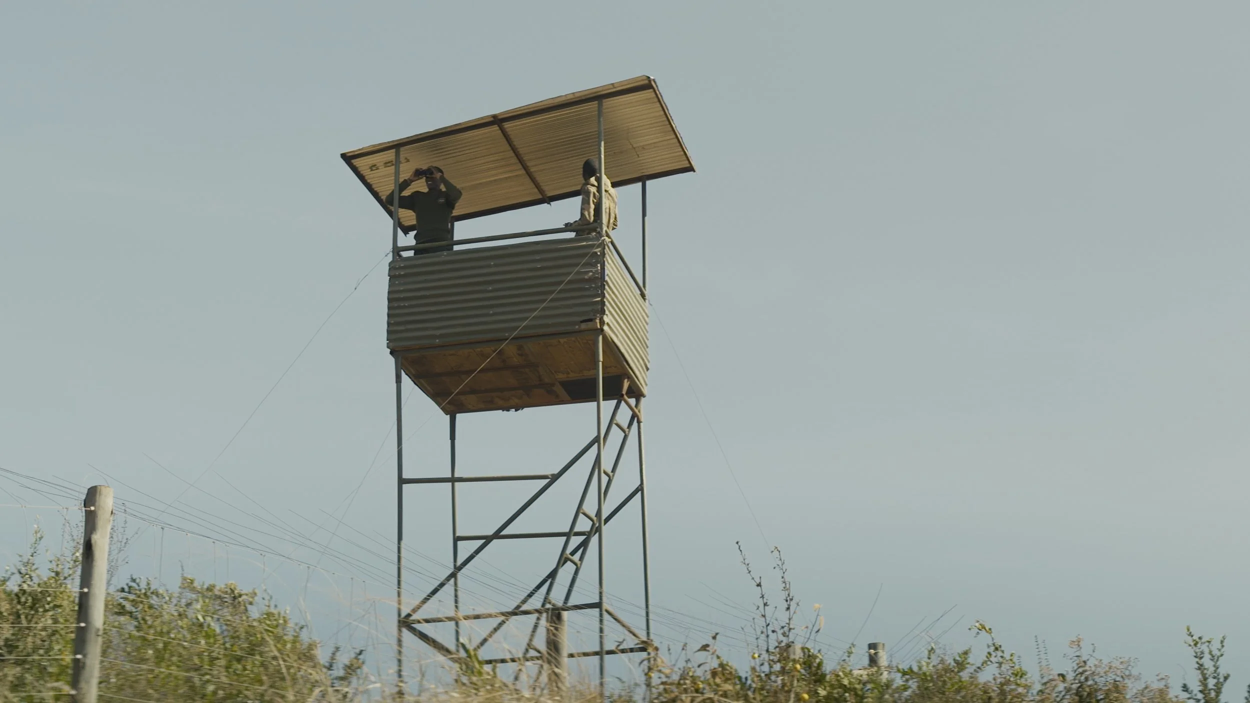 Copy of N.Gormley_Searching for Amani_01272605_00844967.JPG