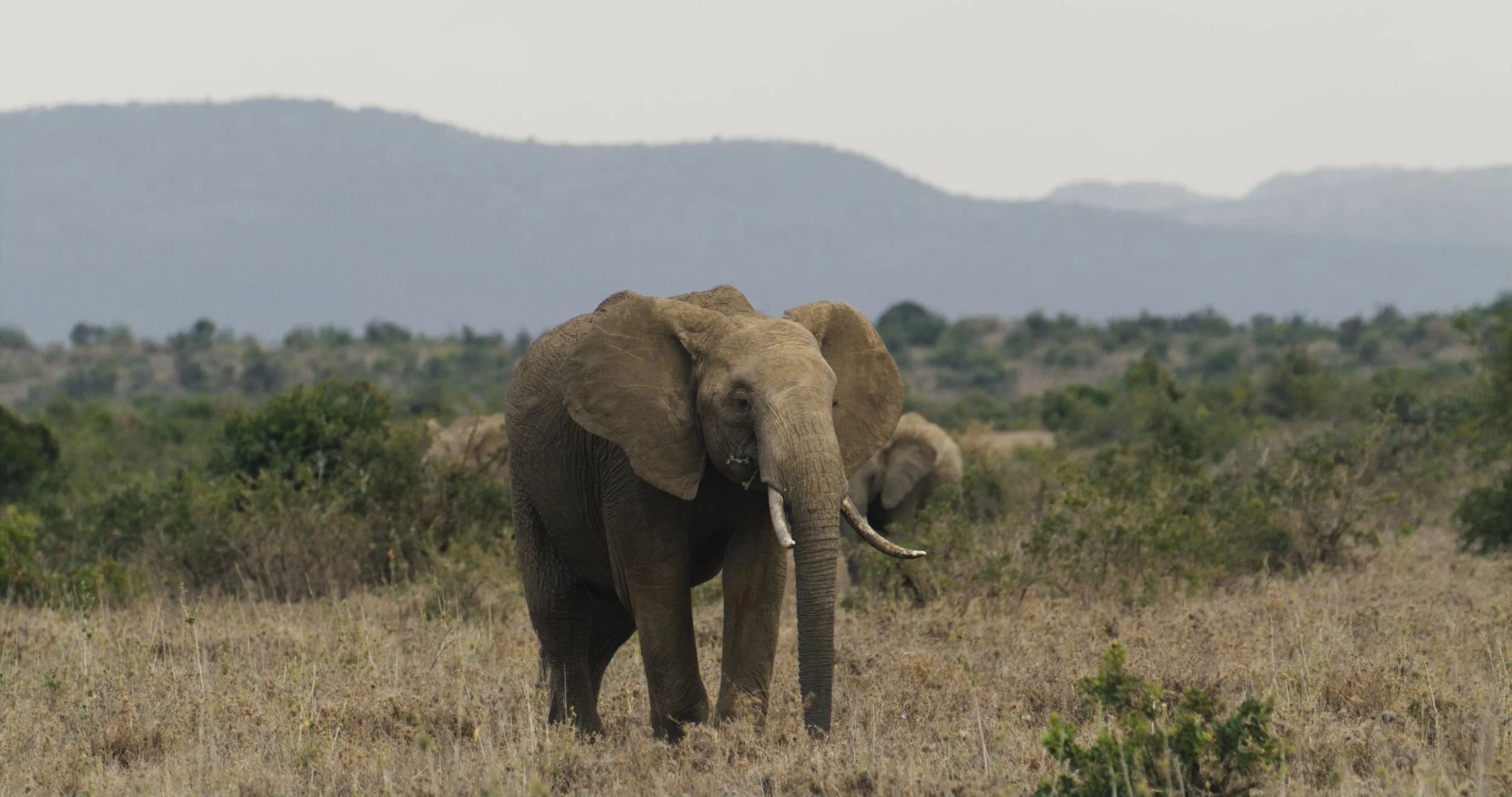 Copy of N.Gormley_Searching for Amani_01072206_01450666.JPG