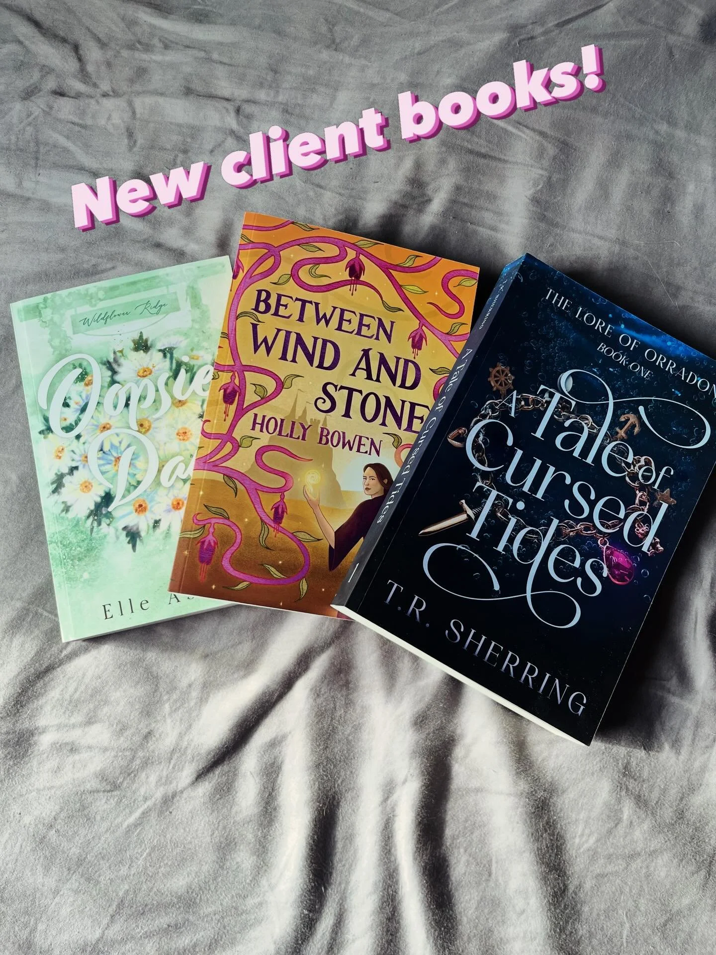 At Ages of Pages in Hamilton last weekend, I was able to pick up recently published books I&rsquo;ve edited from three clients! 

Oopsie Daisy rounds out @elle.ashwell.author 5 book Wildflower Ridge series. I&rsquo;ve had the pleasure of editing book