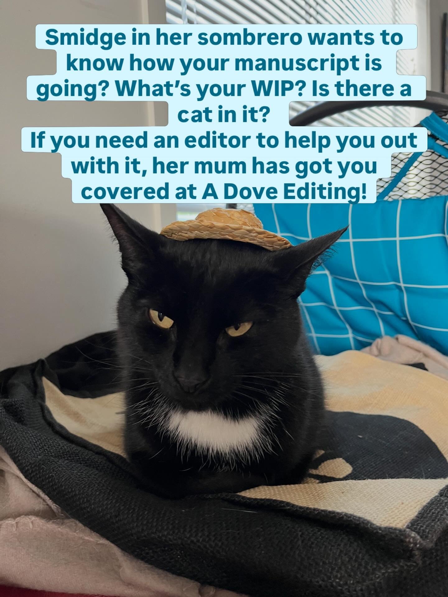 Smidge is my main office companion when I&rsquo;m editing from home! 

What&rsquo;s your WIP? How&rsquo;s it going with your goals?

Tell your friendly neighbourhood editor how your manuscript is going! 

And DM me for a 2000 word free sample edit an