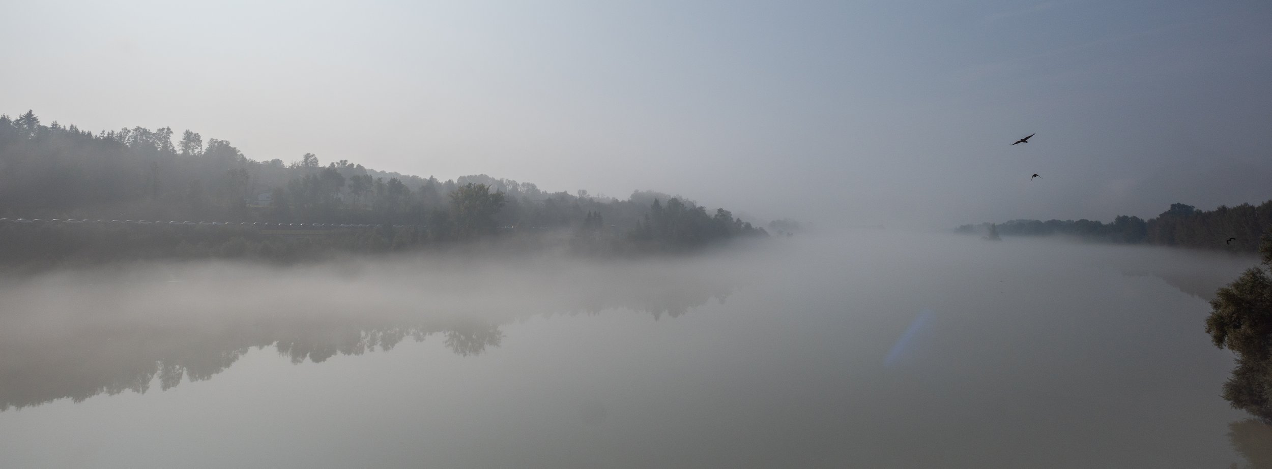 R0008364-2.jpg