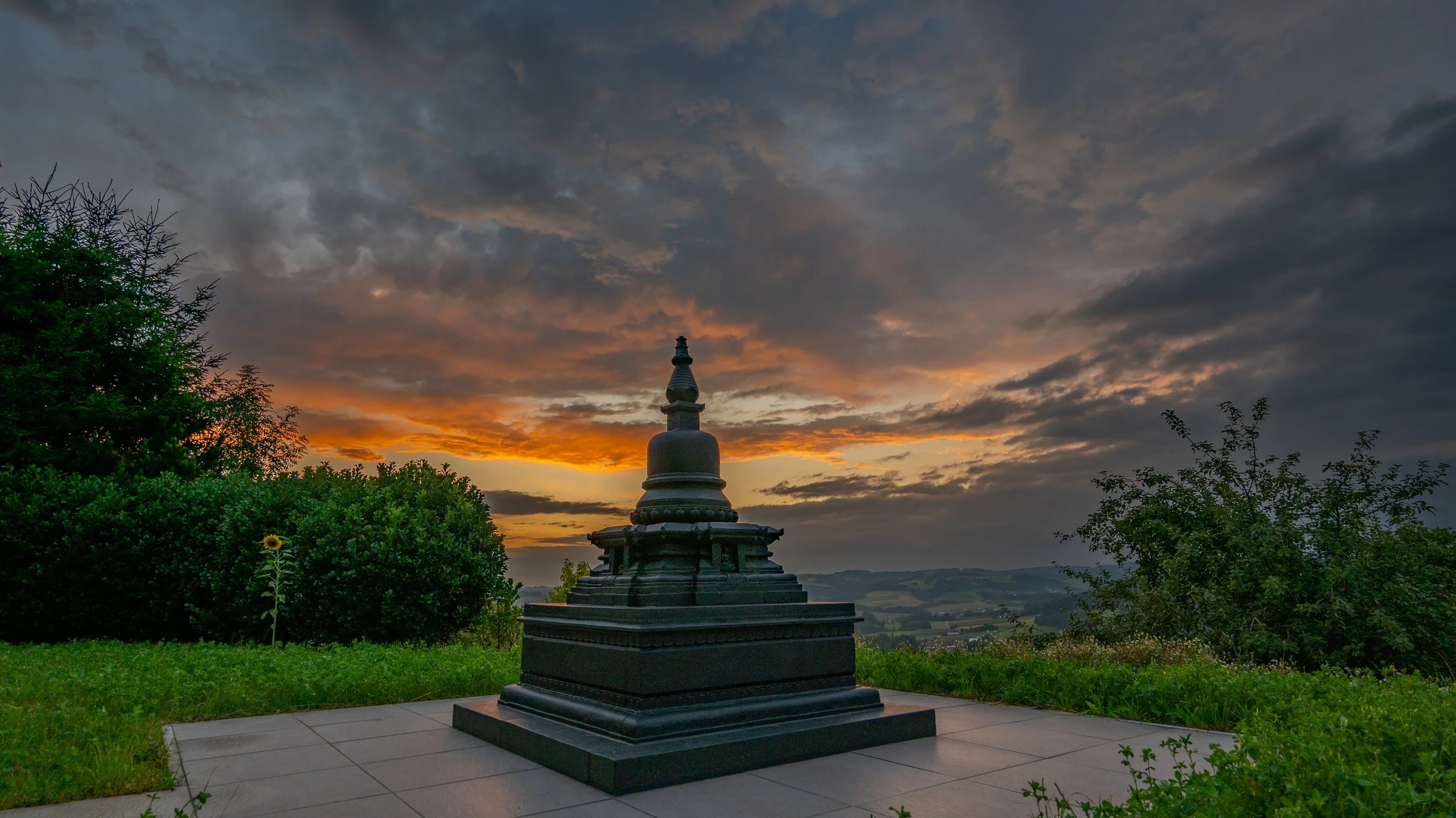 P1021168-2.jpg