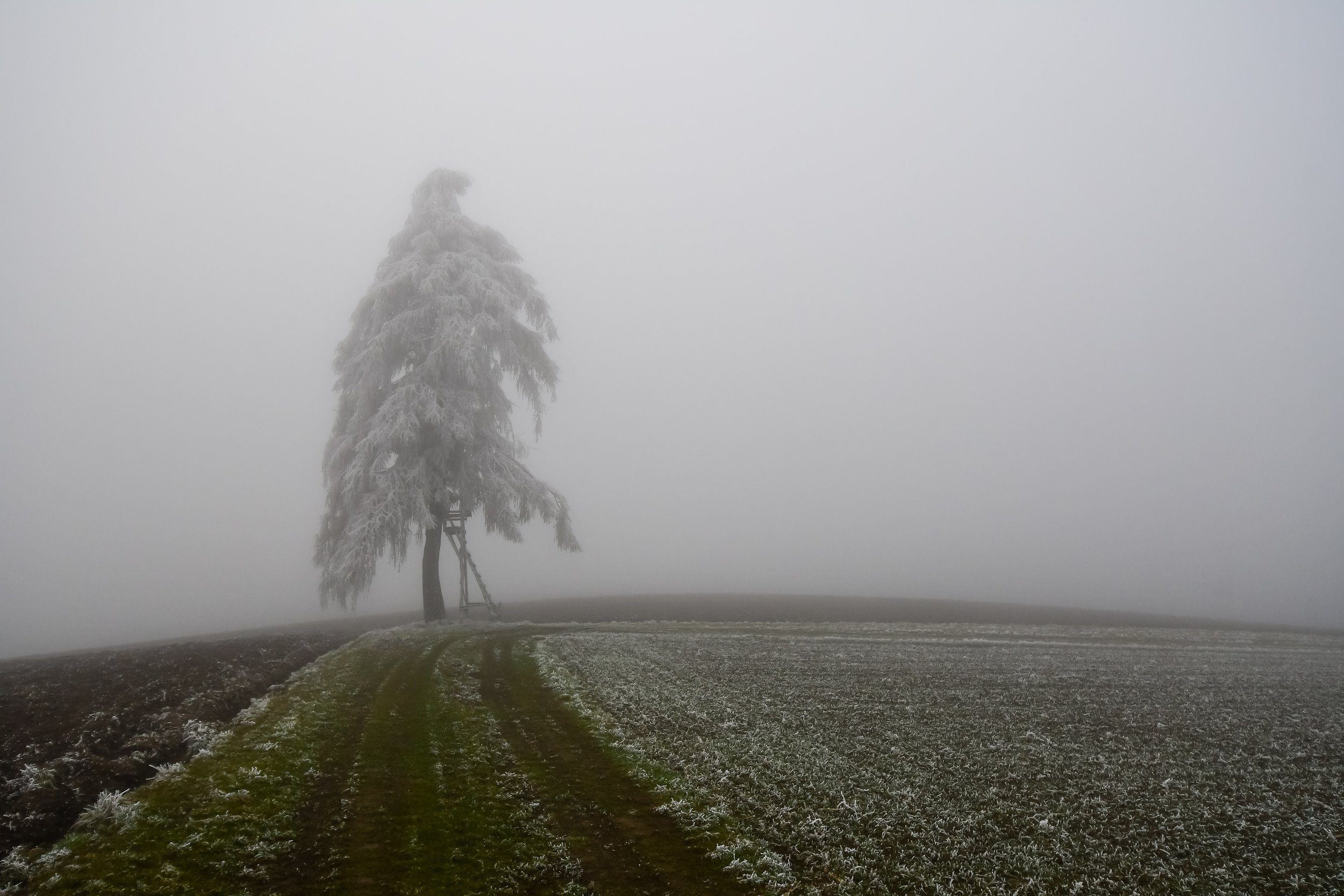 DSC_0802.jpg