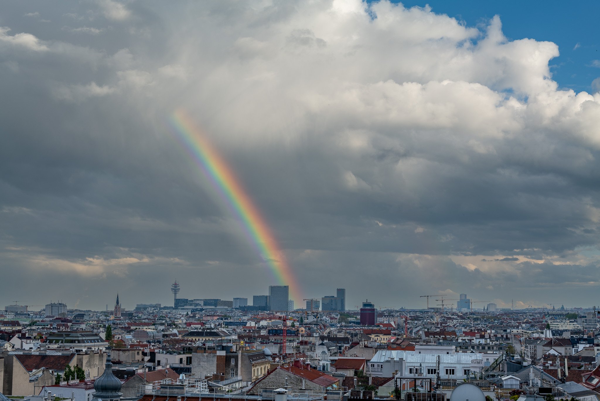 P1033290-2.jpg