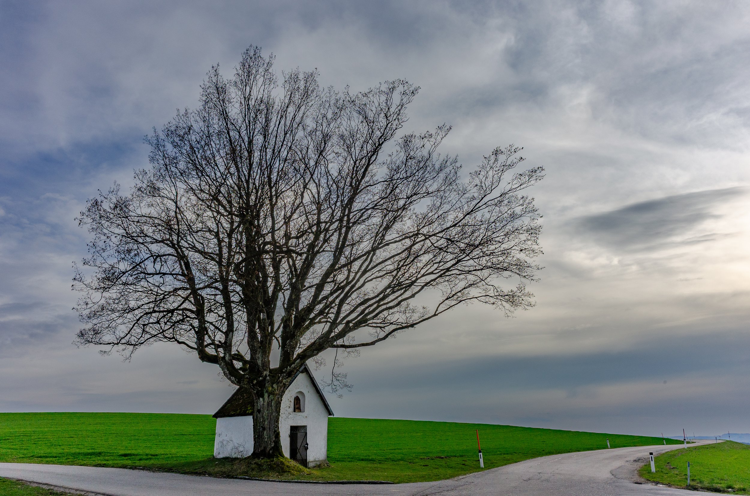 DSC_0259-2.jpg