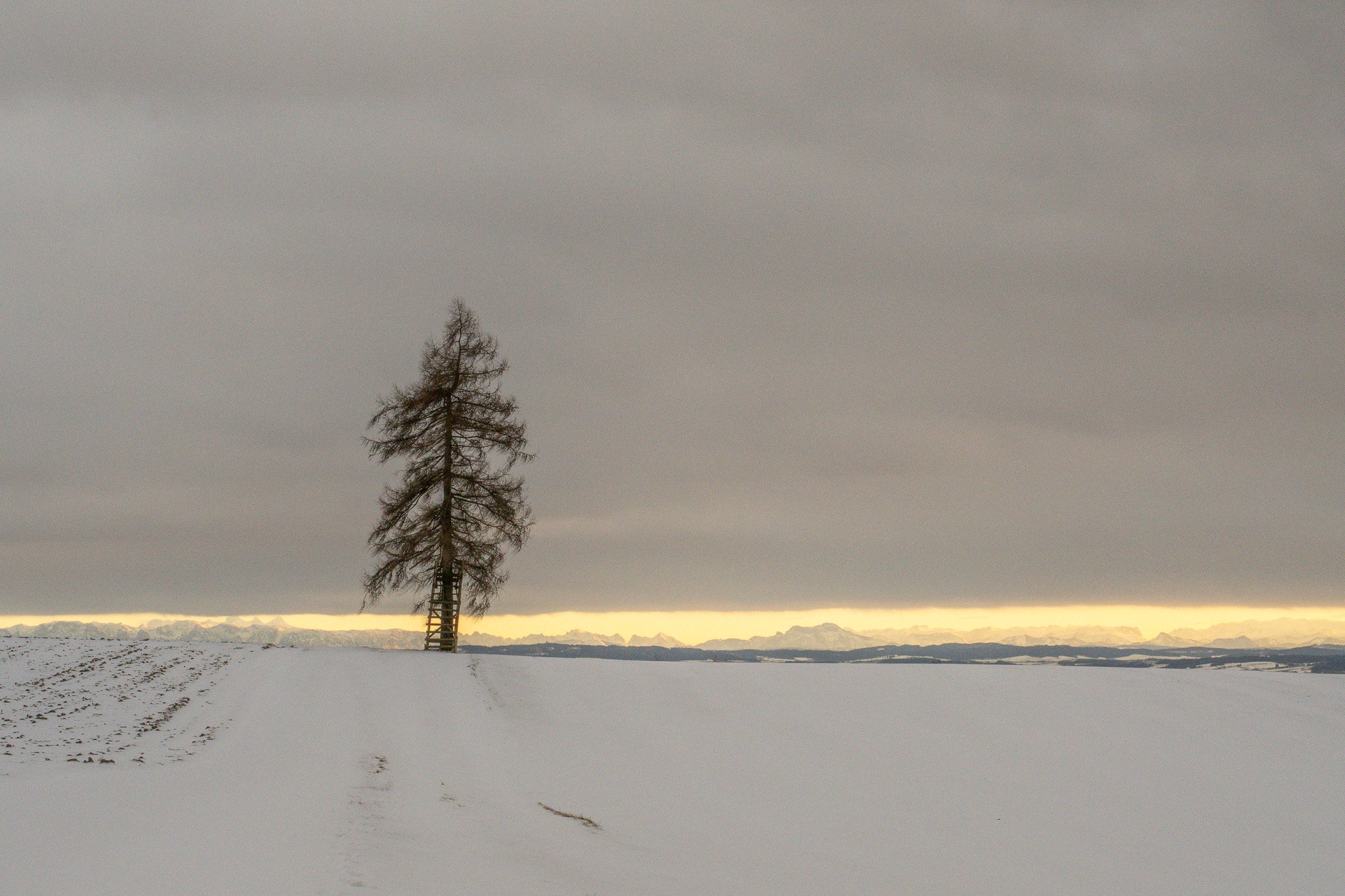 DSC_0752-2.jpg