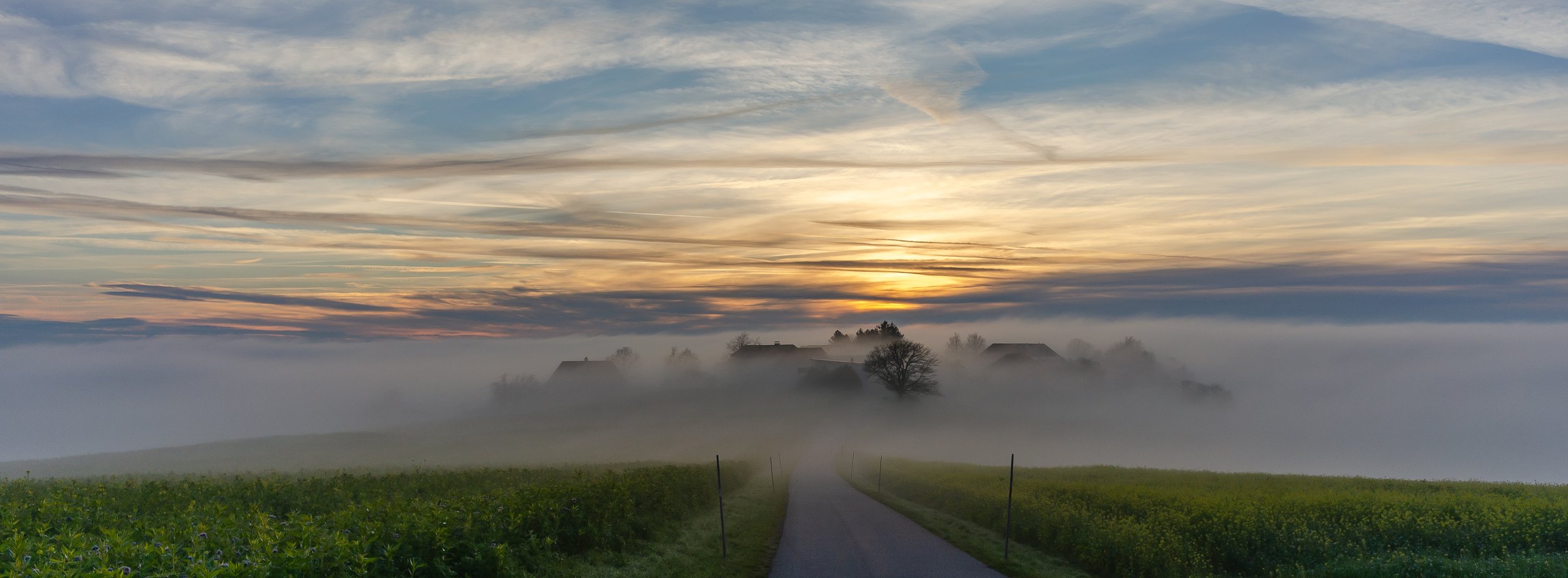 DSC_1062-3.jpg