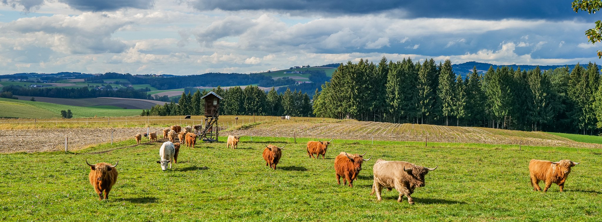 P1426448-3.jpg