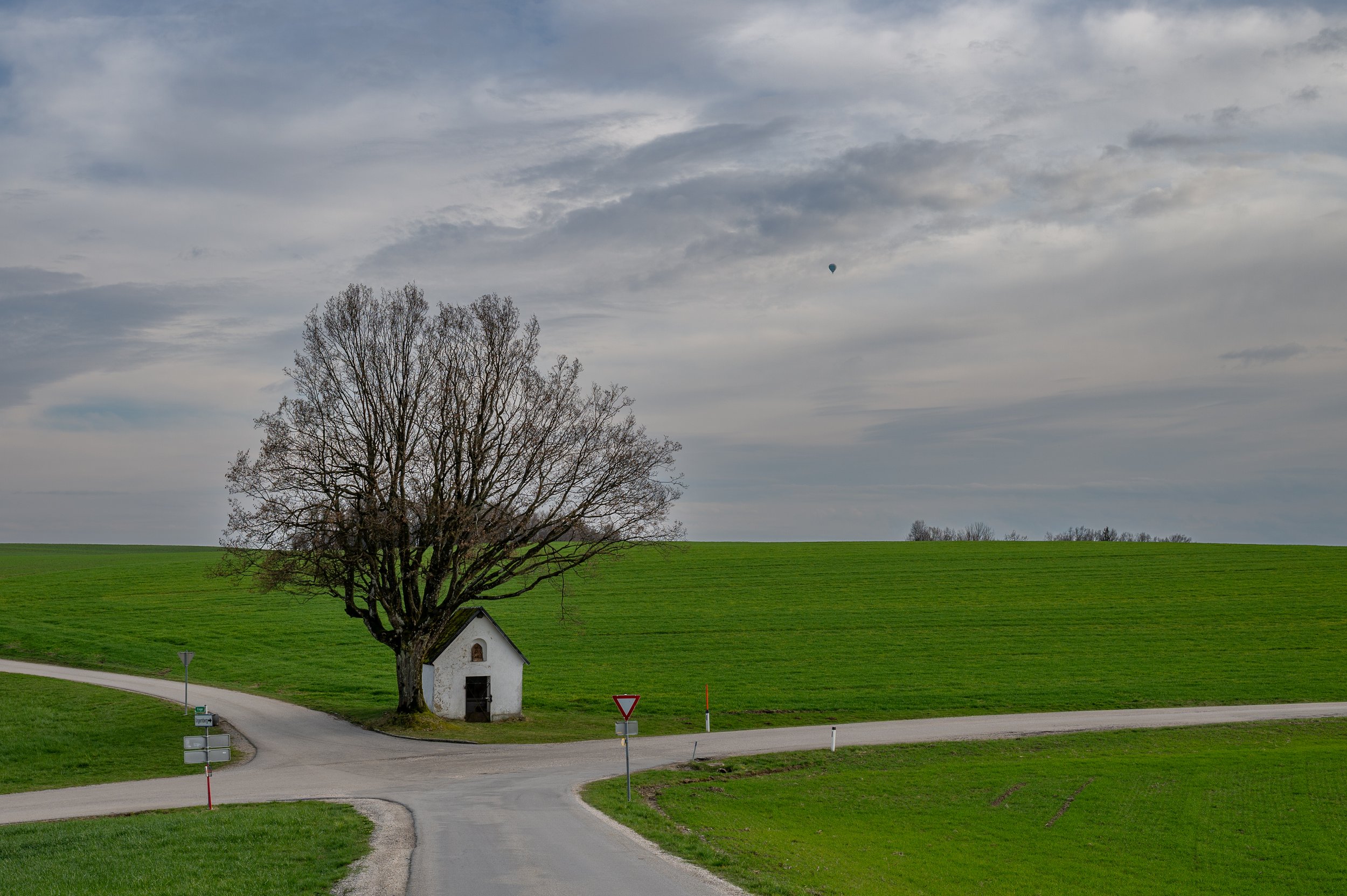 DSC_3894.jpg