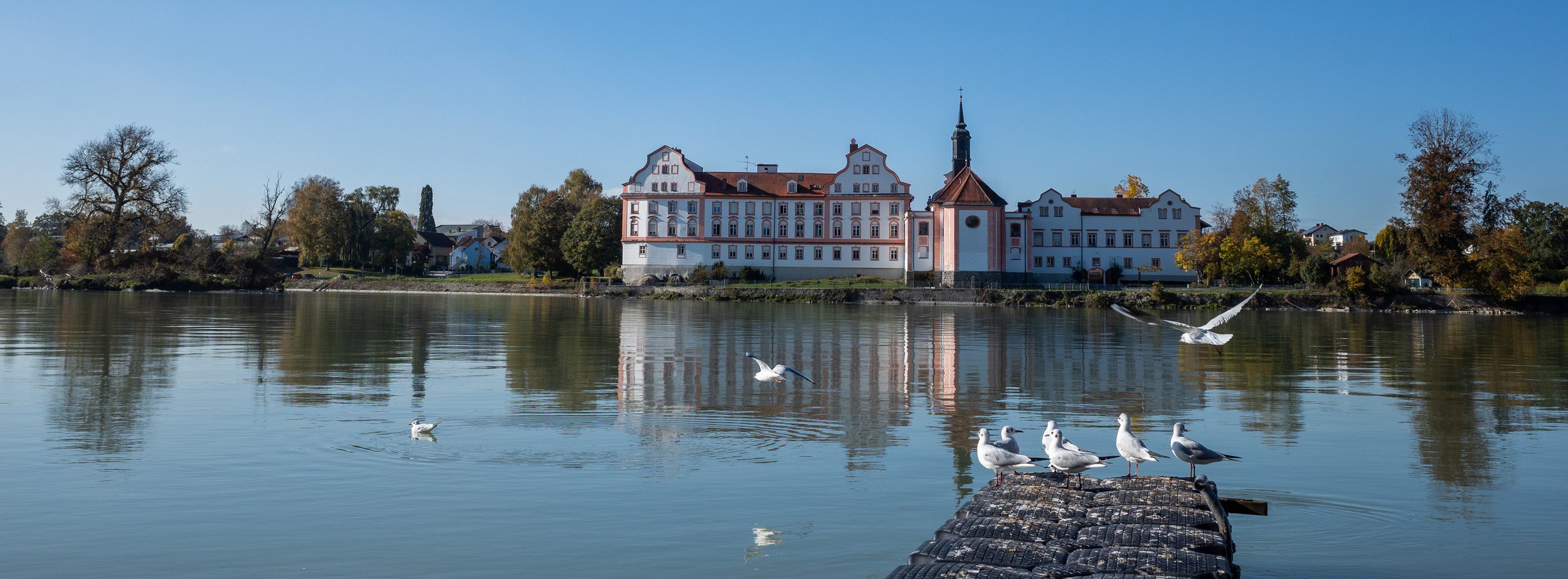 R0008598-2.jpg