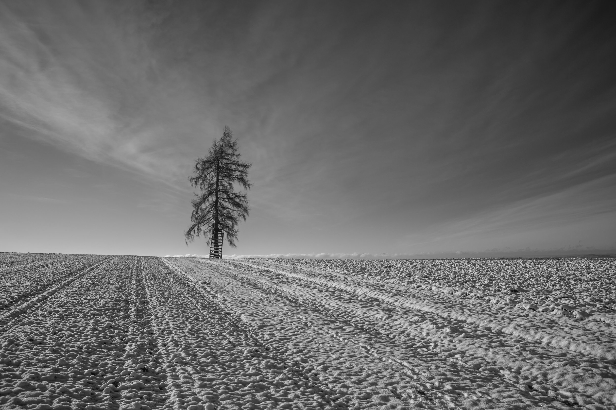 DSC_0769.jpg