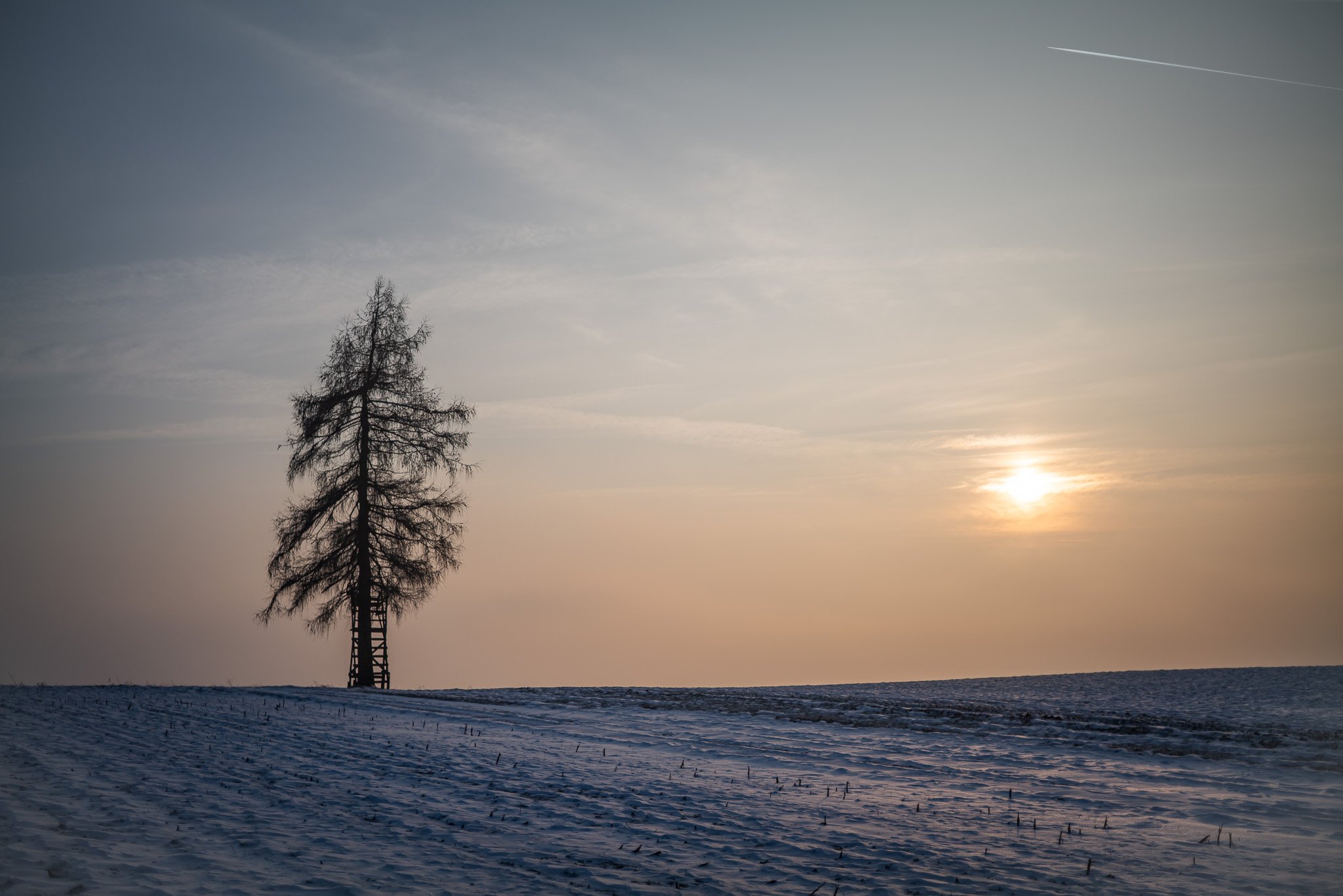 P1089779-2.jpg