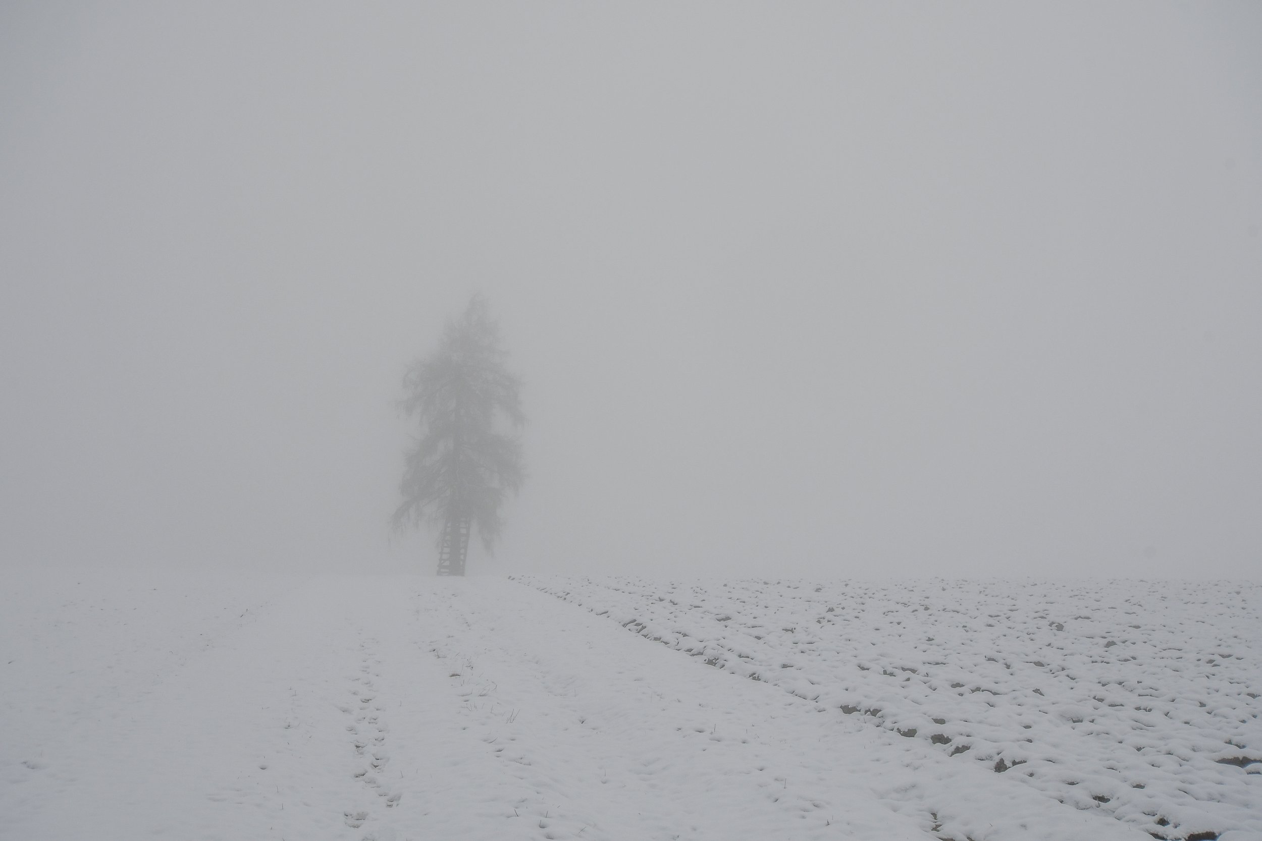 DSC_1244-2.jpg