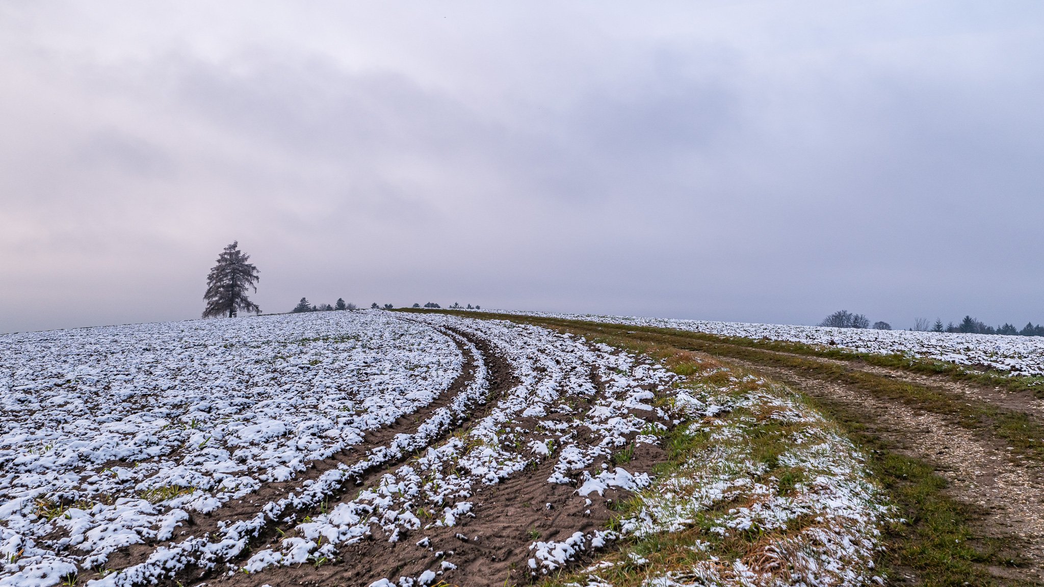 P1010047-2.jpg