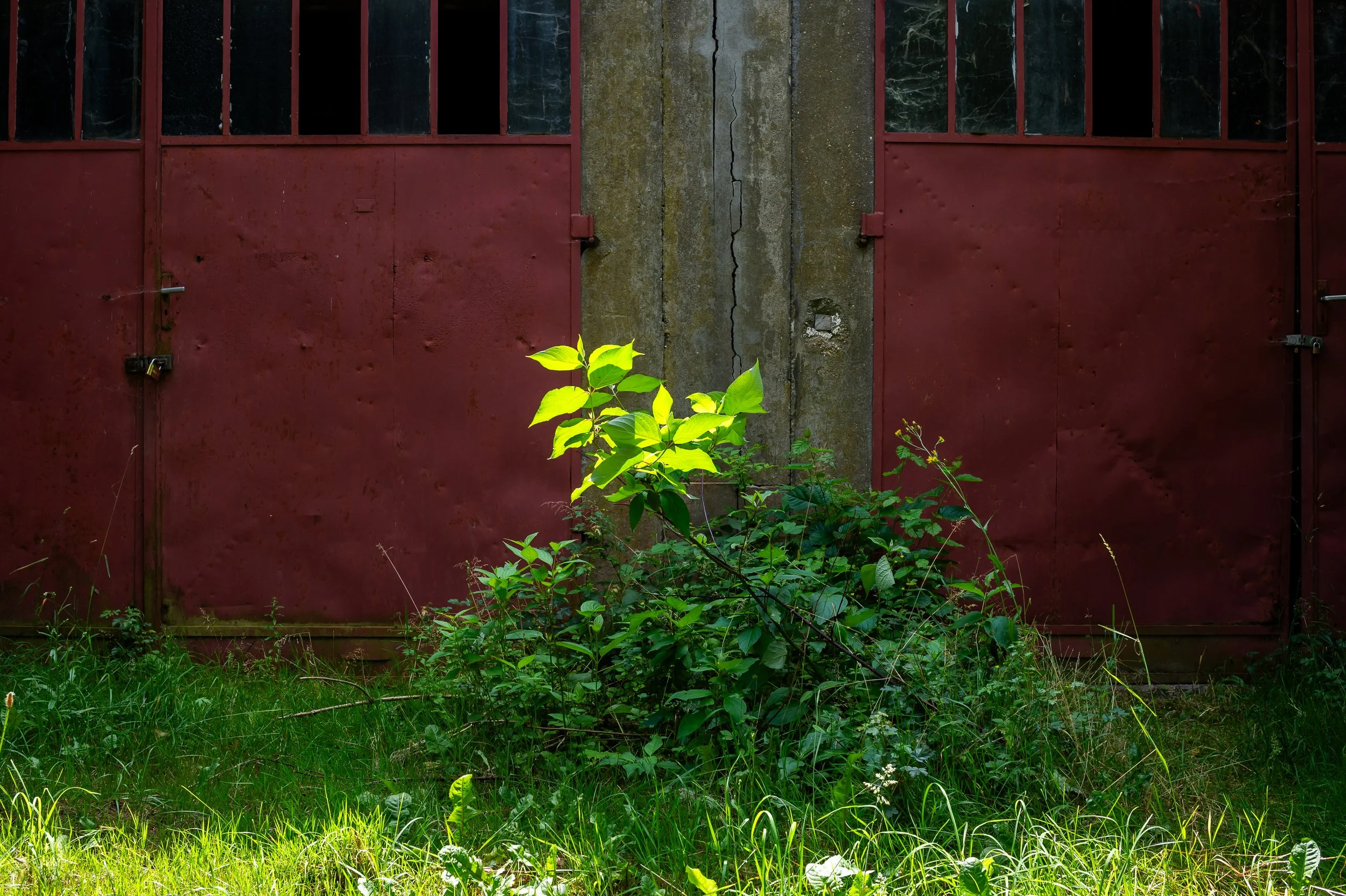 DSC_3157.jpg