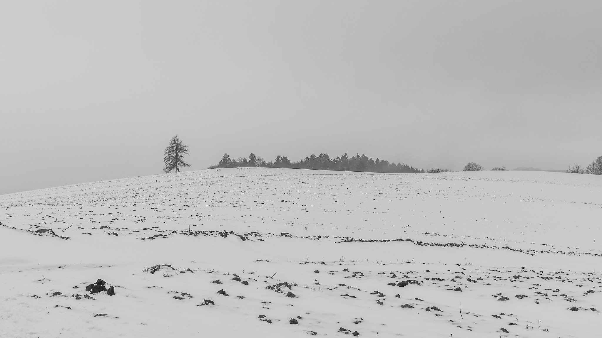 DSC_0505-2.jpg