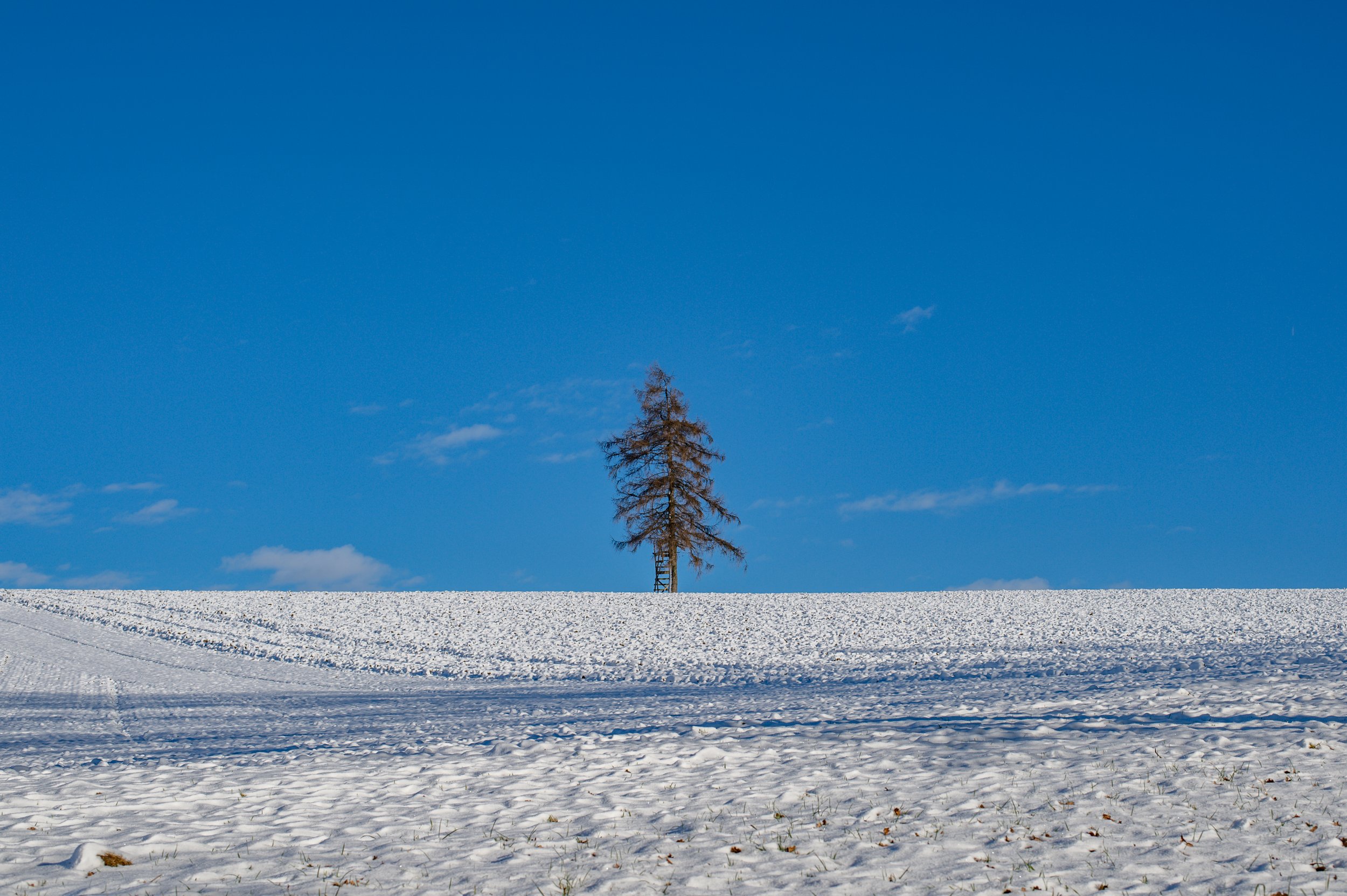 DSC_0918.jpg