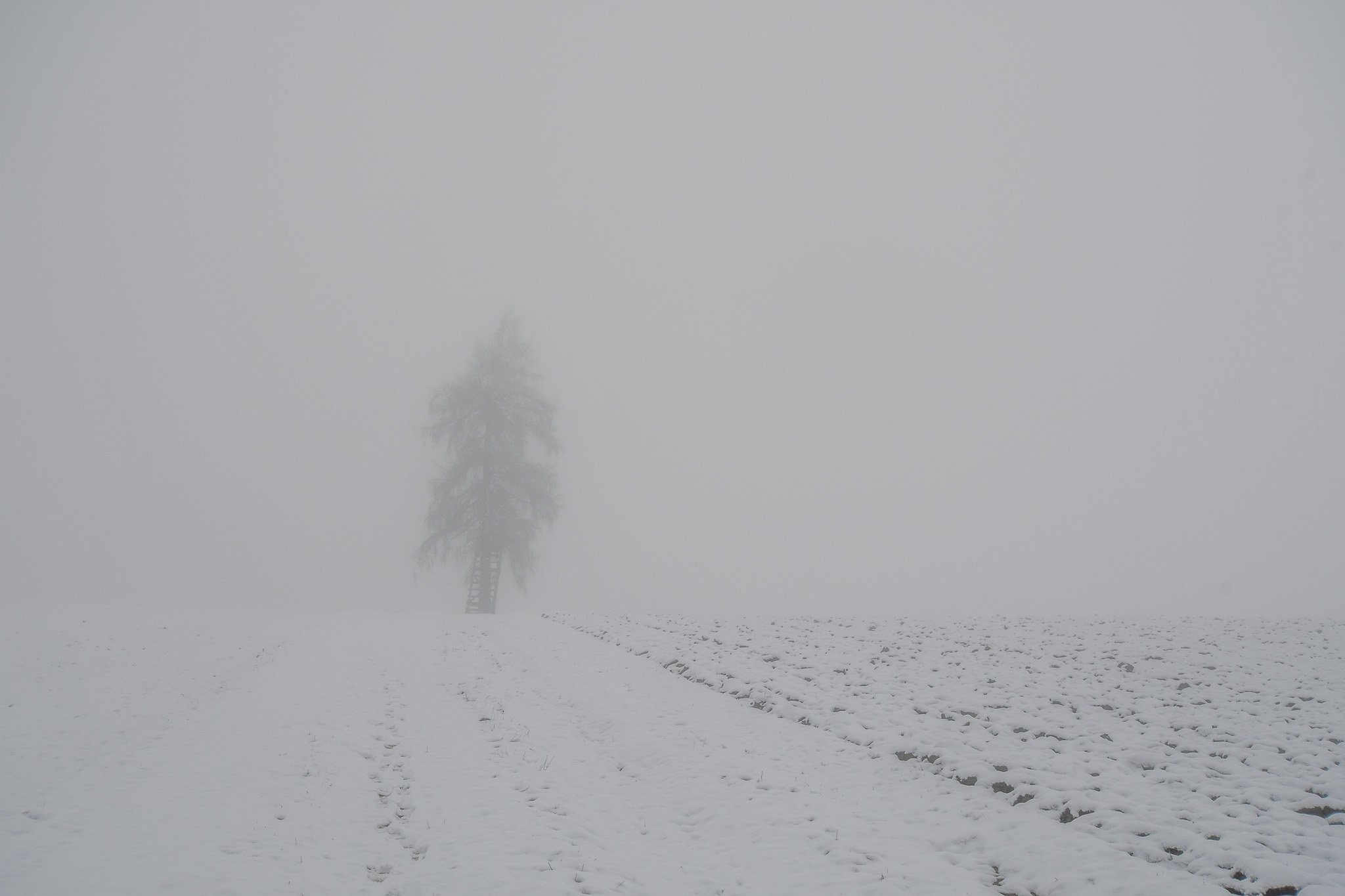 DSC_1244-3.jpg