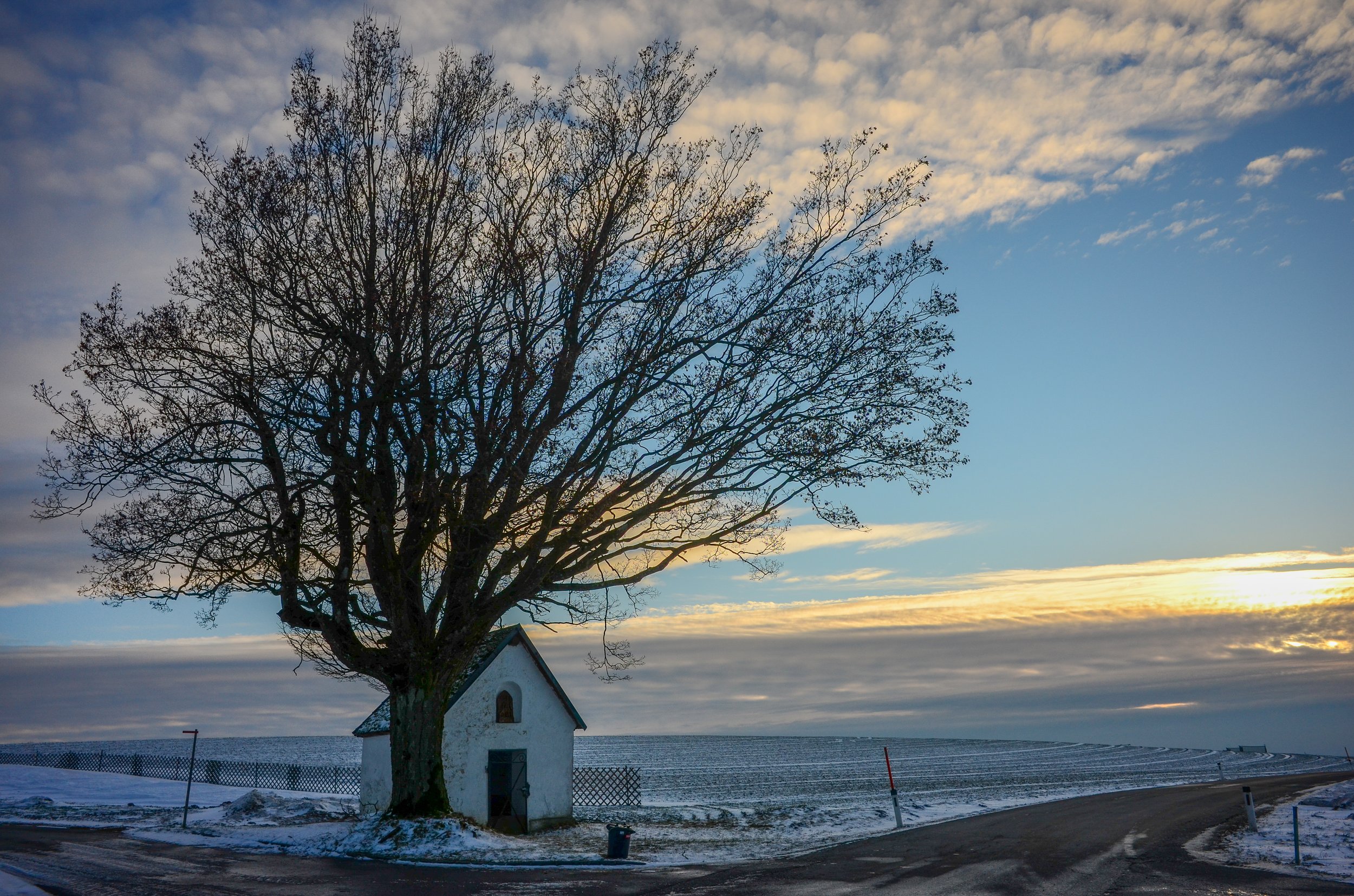 DSC_0901-2.jpg
