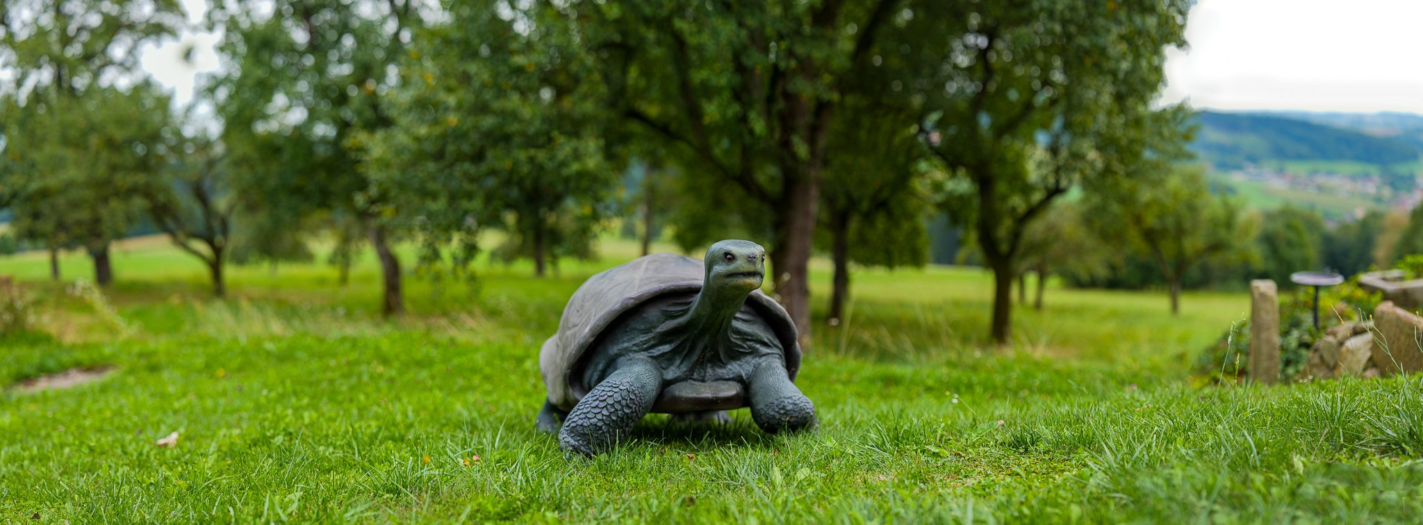 P1032098-Pano PS 2-6.jpg