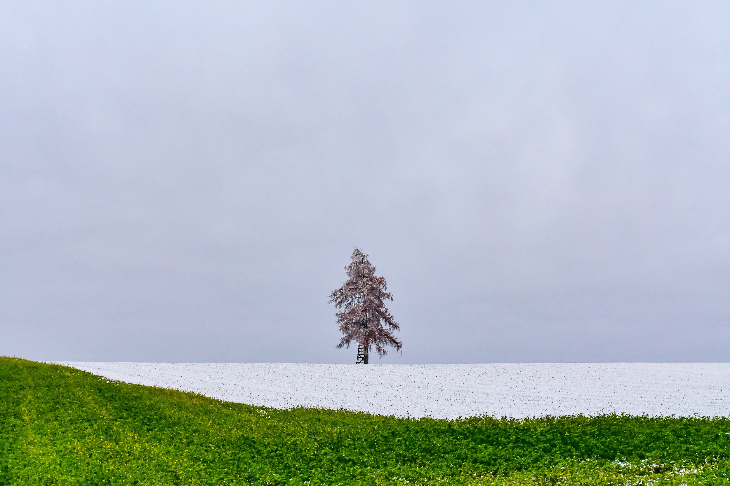 DSC_9692.jpg