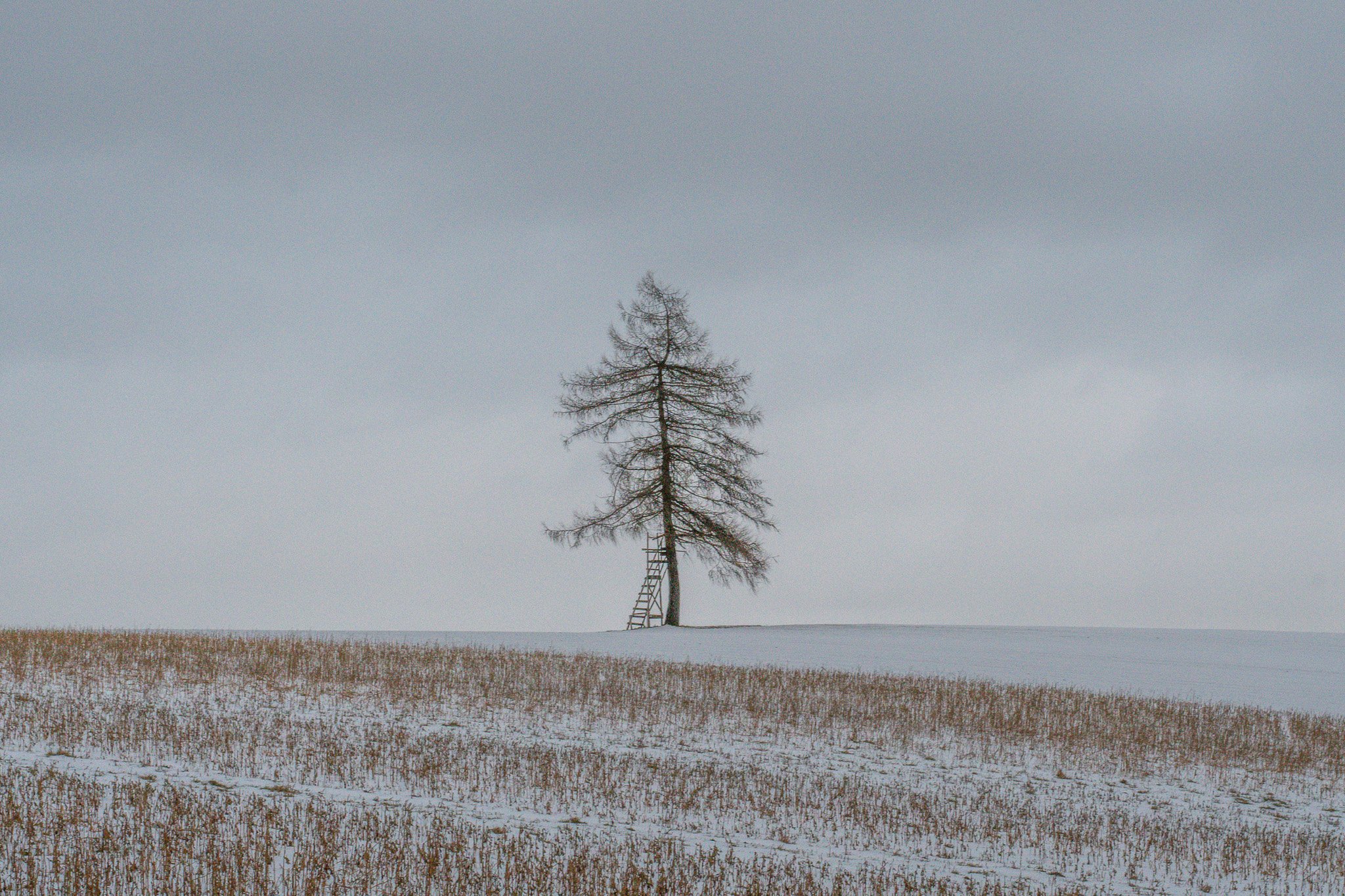 DSC_0769-2.jpg