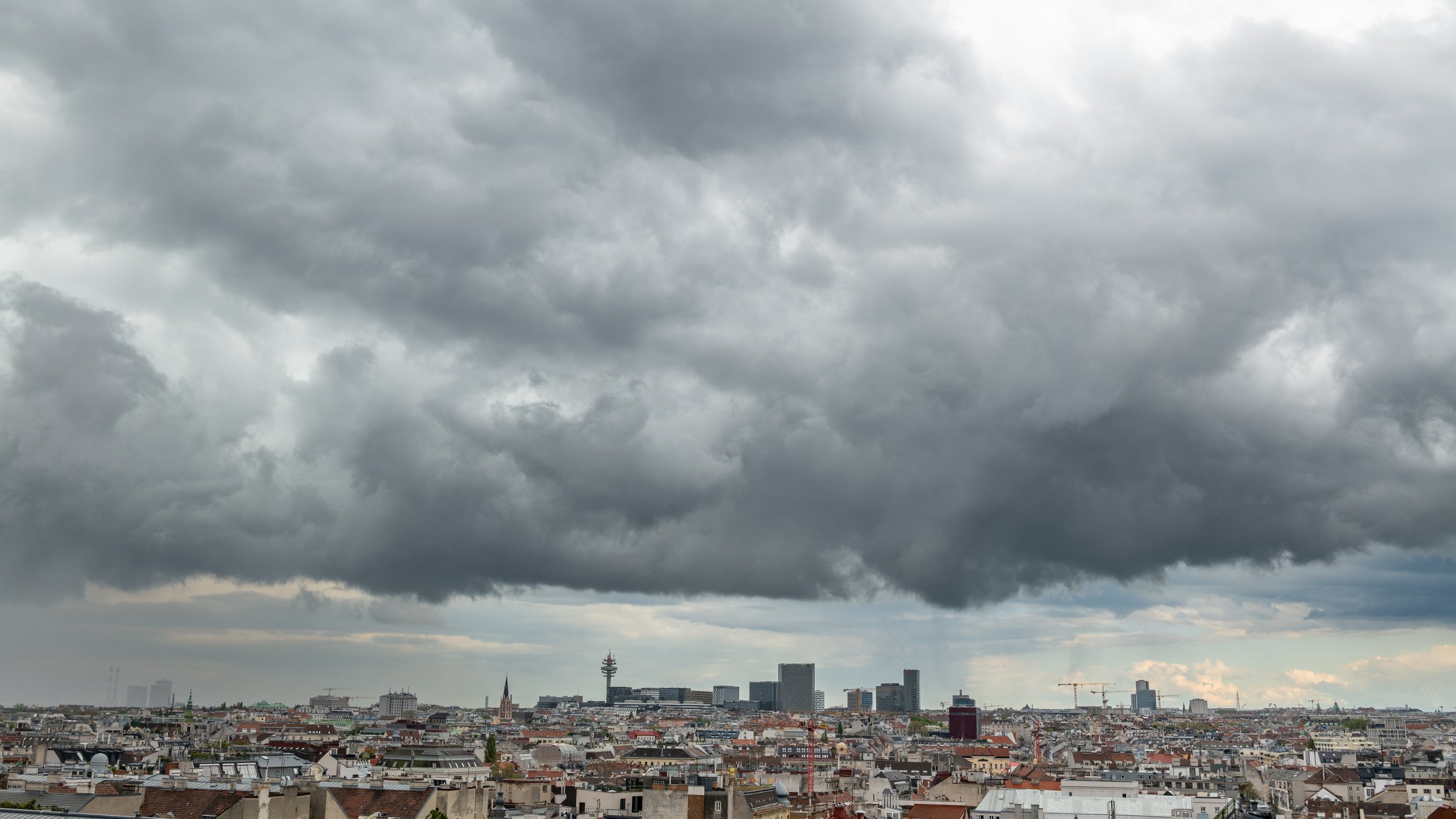 P1033233-2.jpg