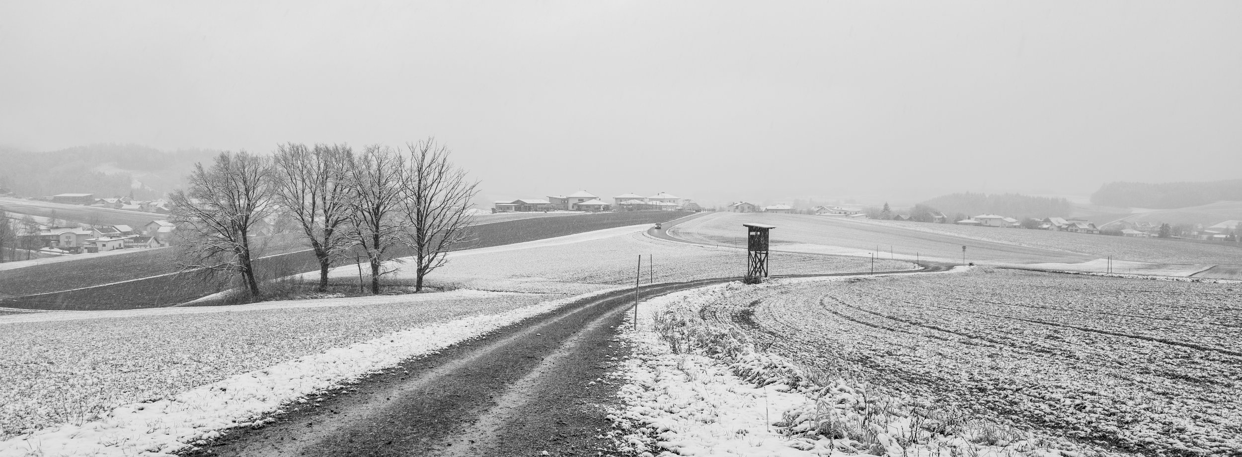 P1423776.jpg