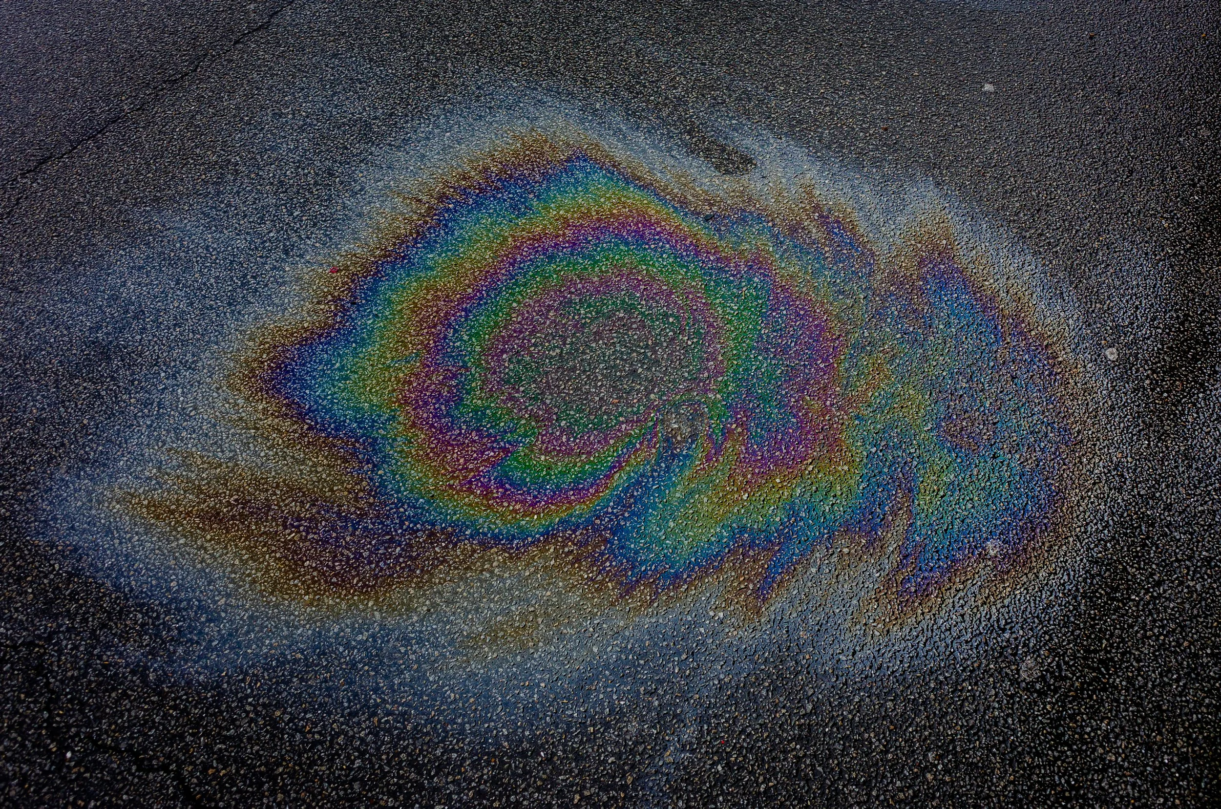 DSC_0646.jpg
