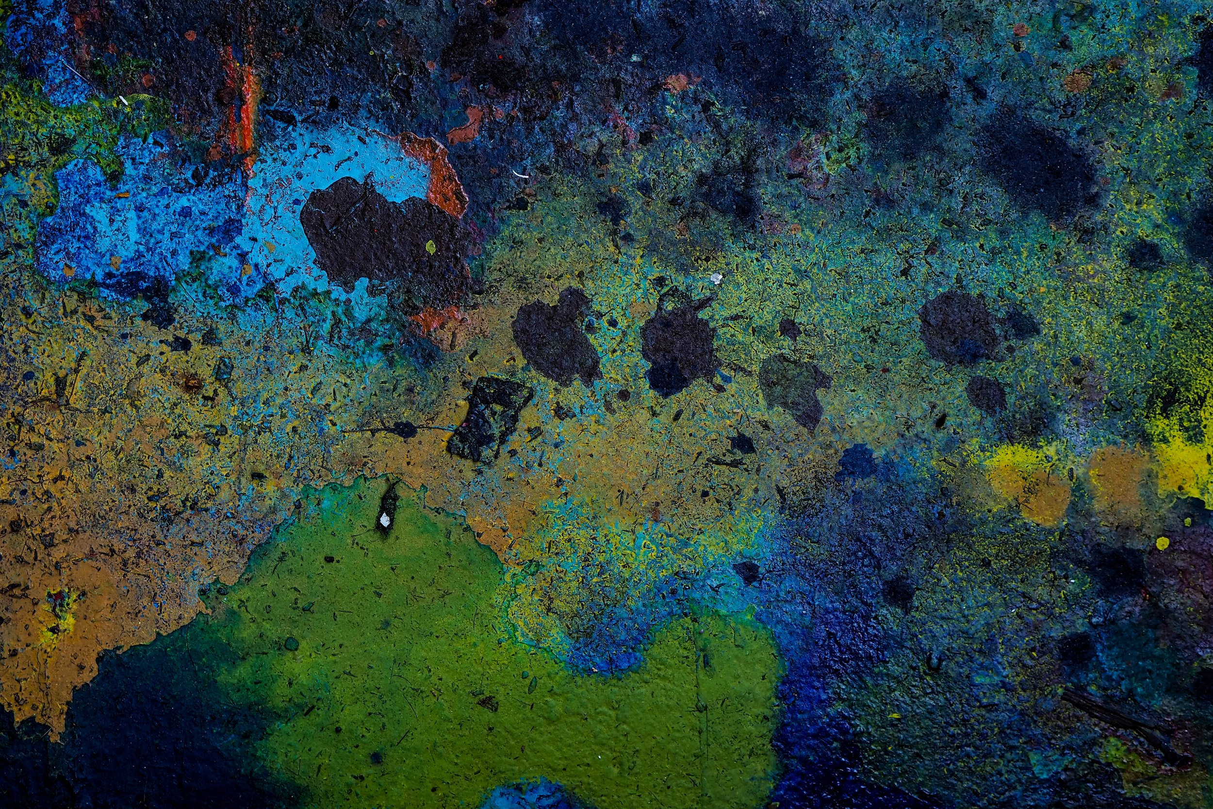 P9160520-2.jpg
