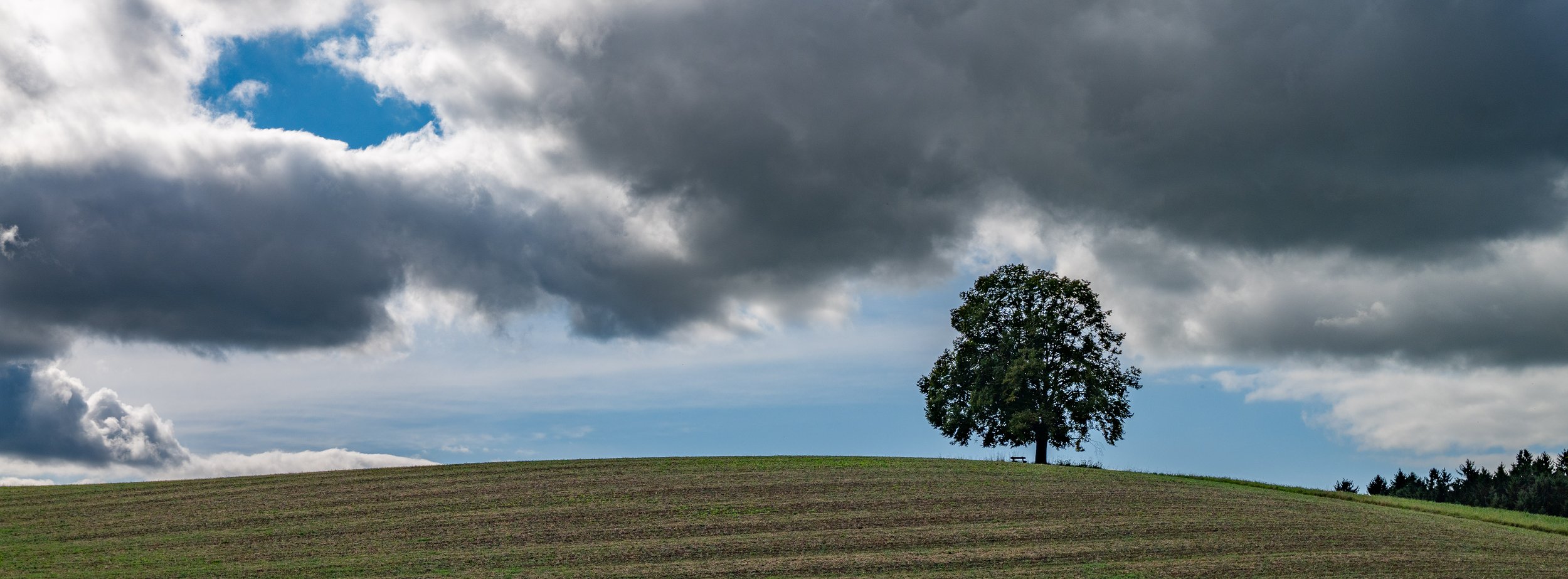 P1000449-3.jpg