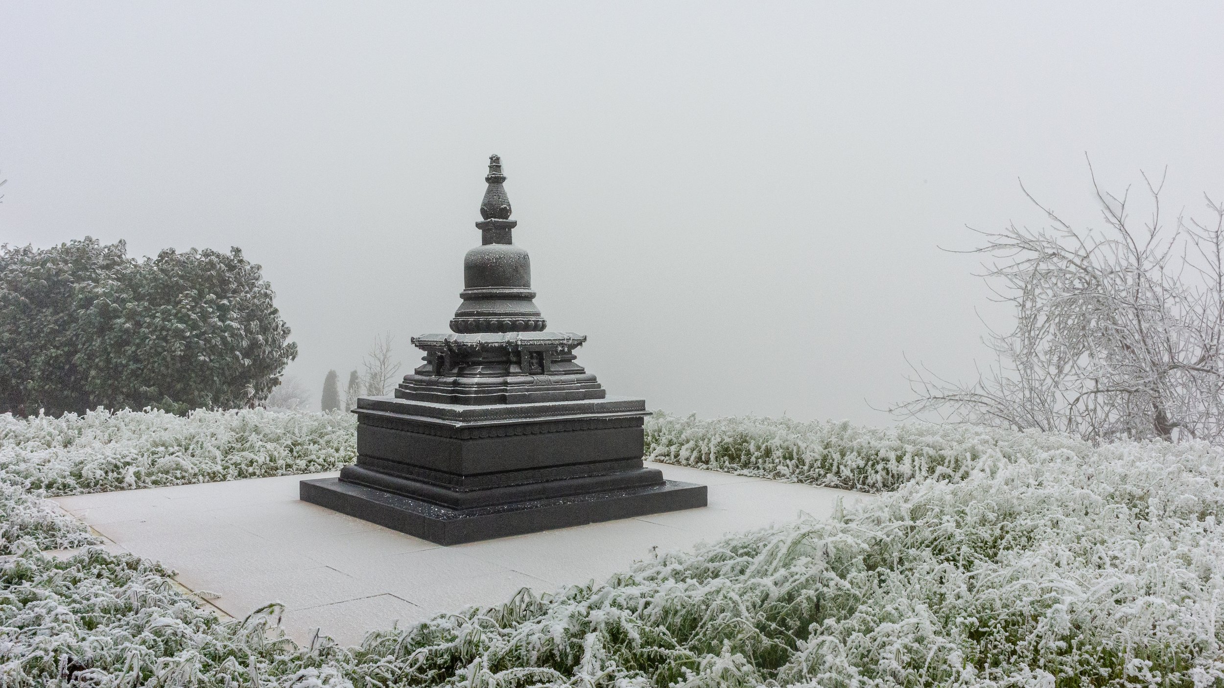 DSC_0802-2.jpg