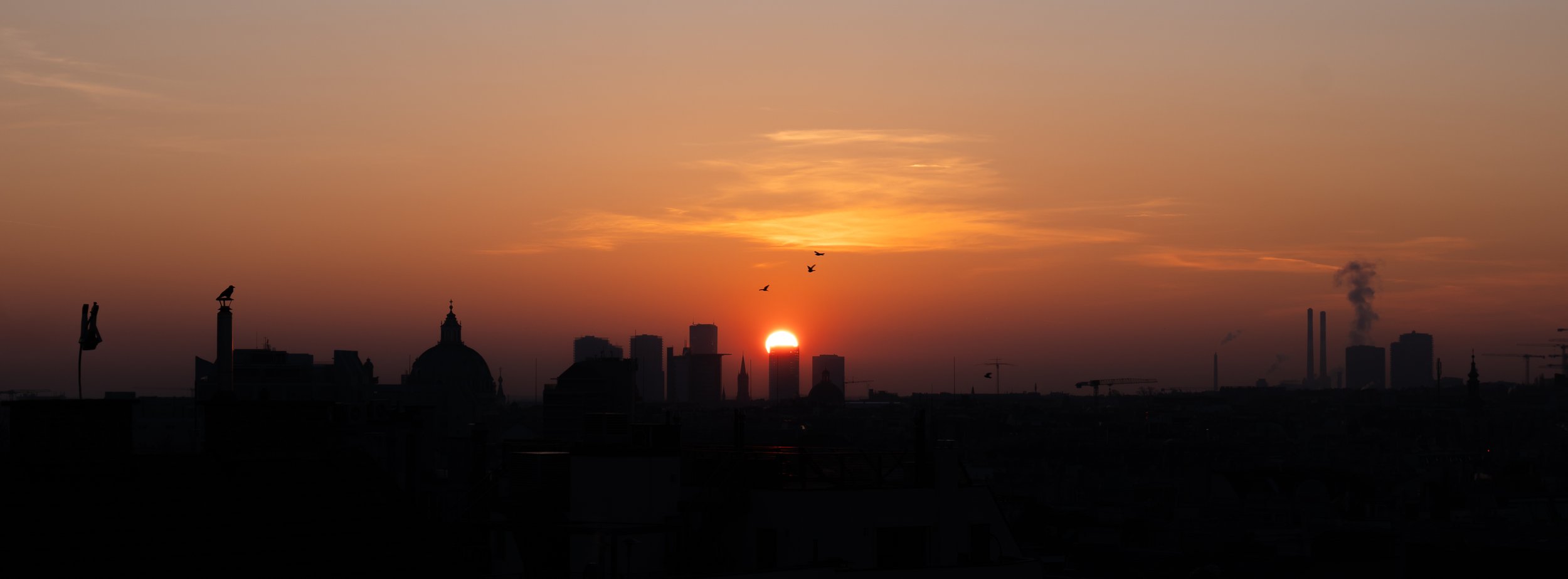 P1018984-3.jpg