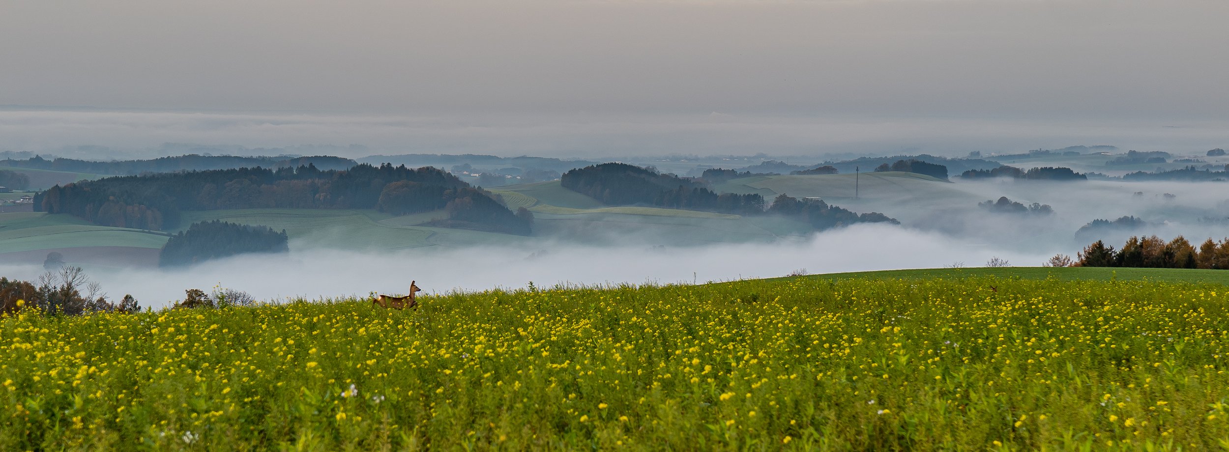 P1089439-3.jpg