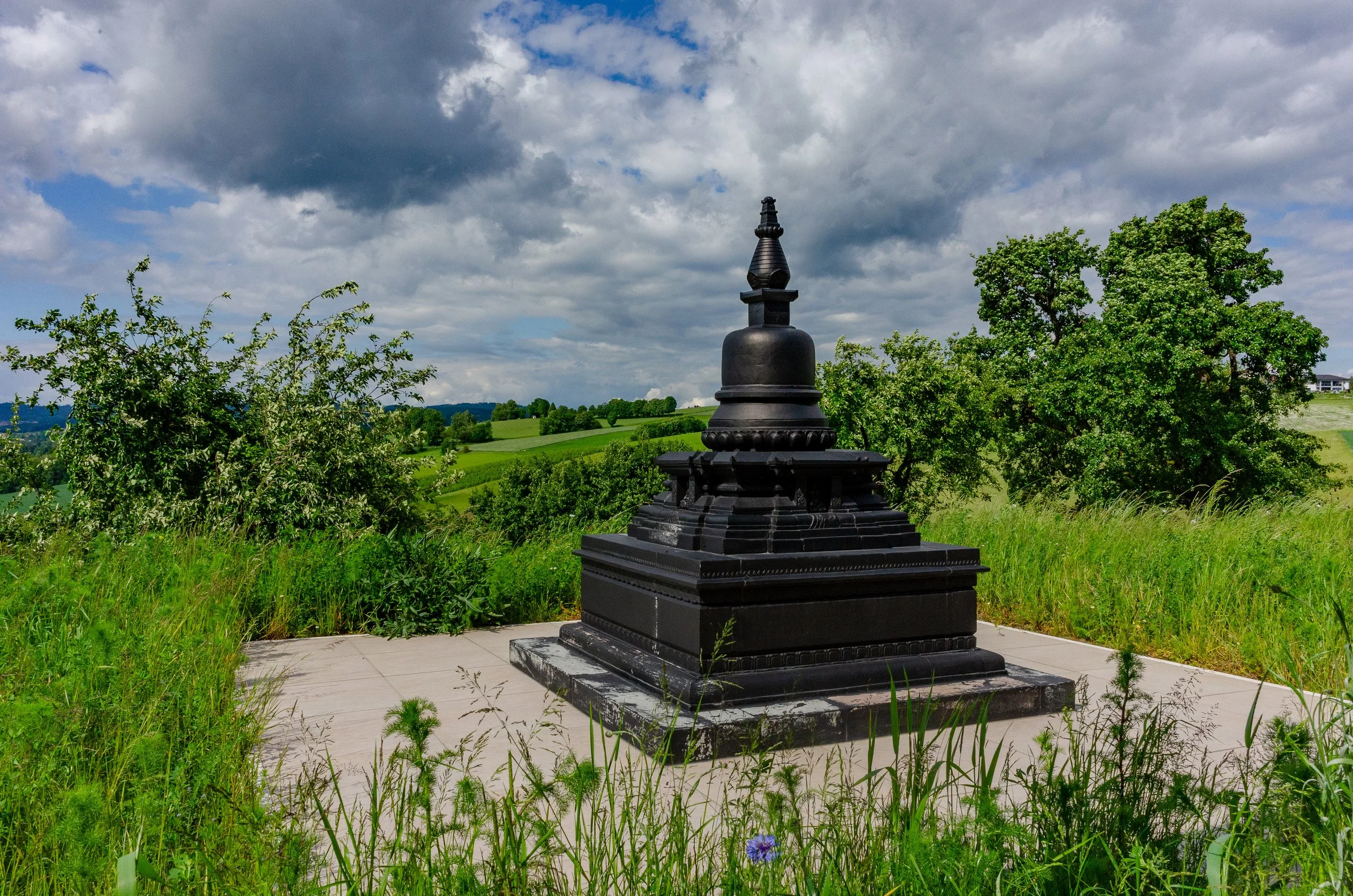 DSC_0167.jpg