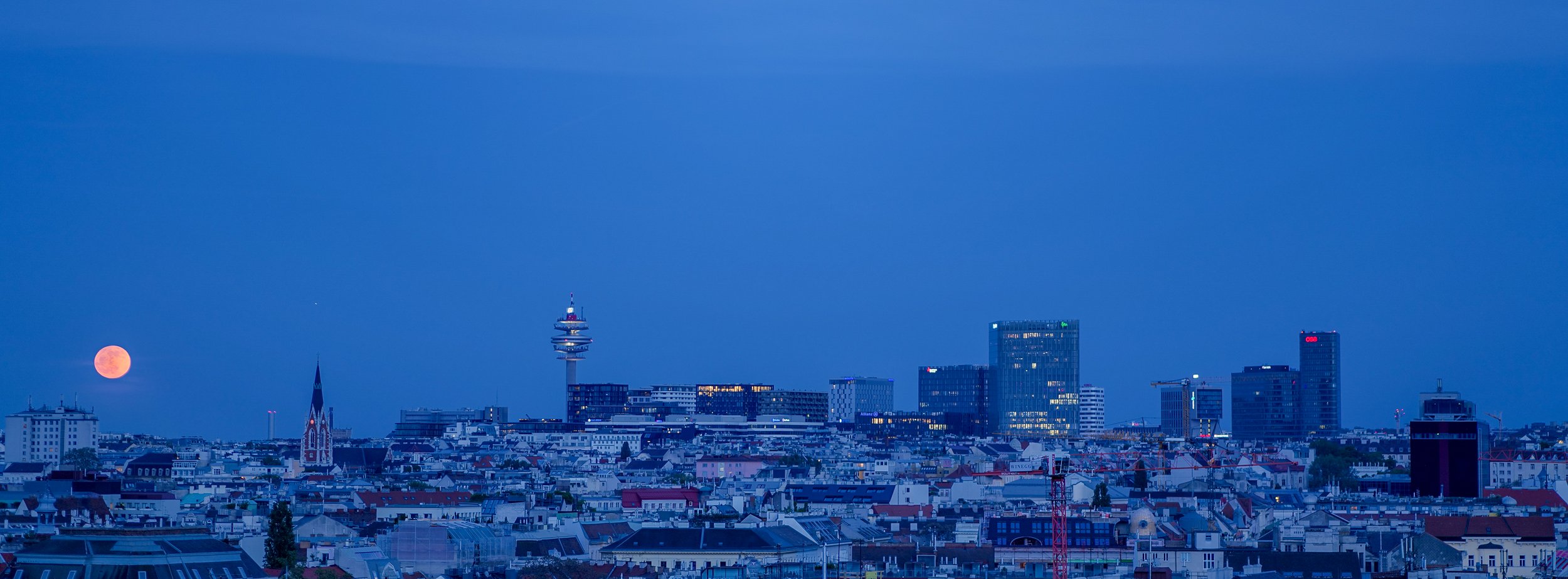 P1044379-3.jpg
