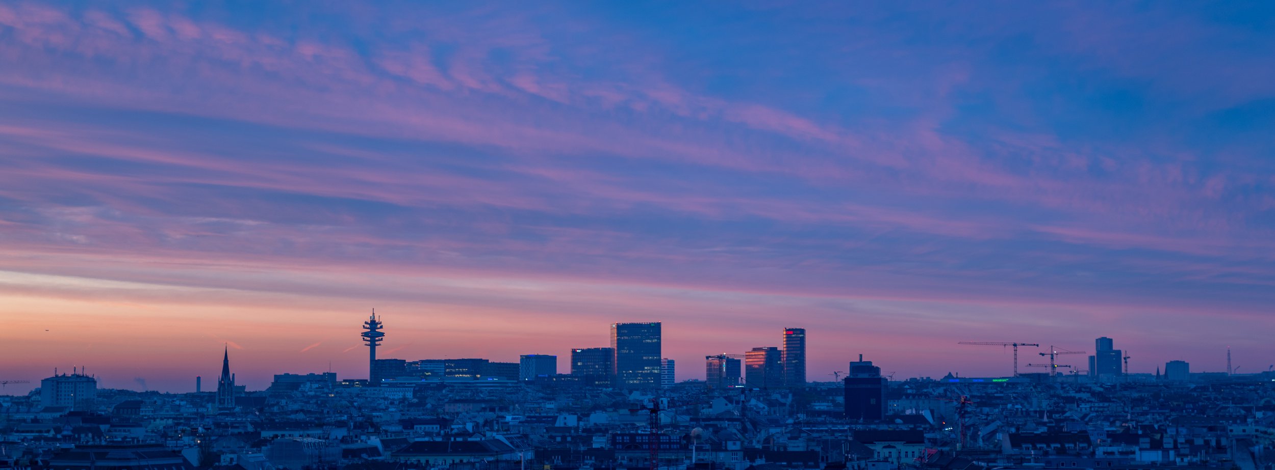 P1011081-4.jpg