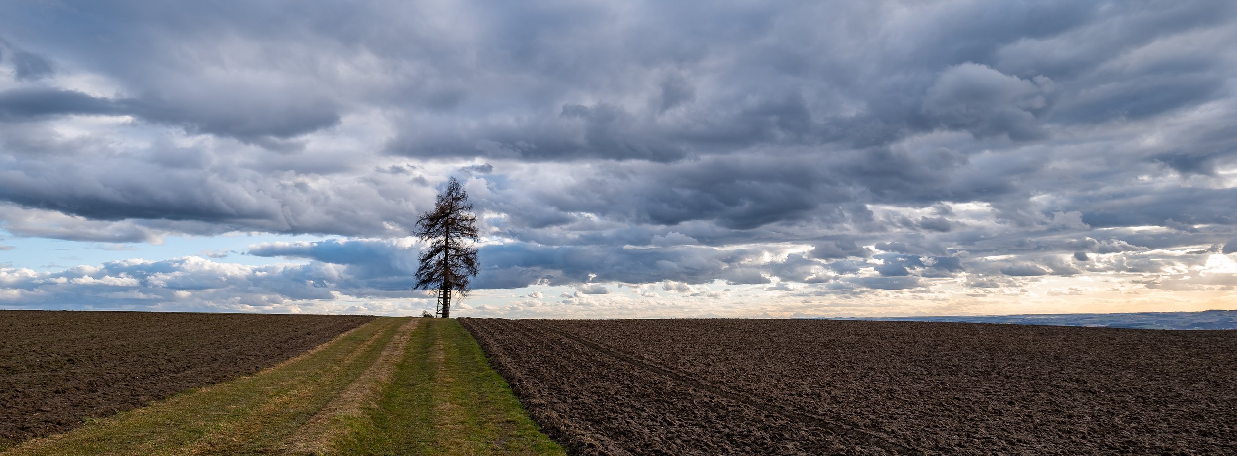 P1134841-3.jpg