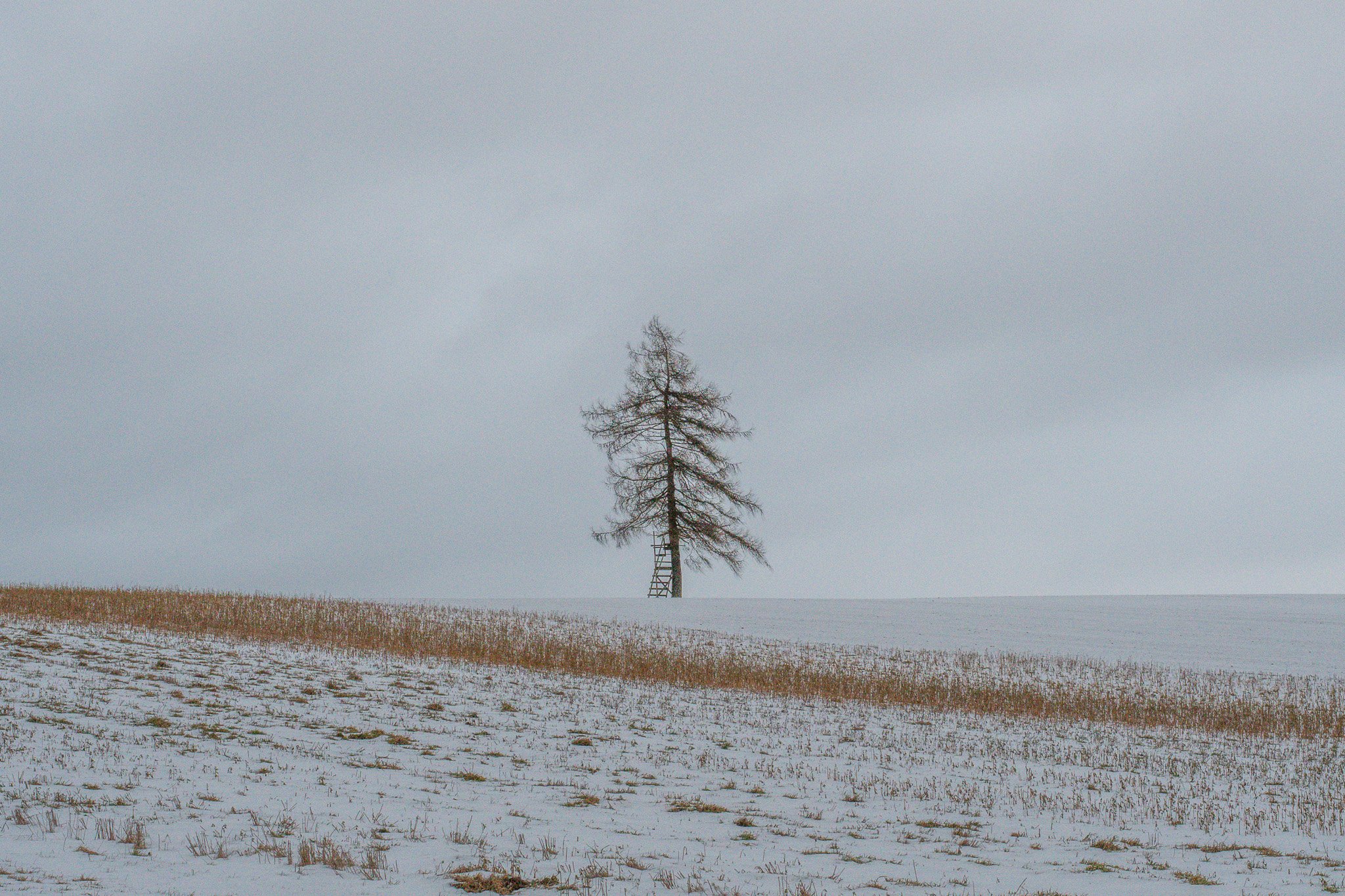 DSC_0772-2.jpg
