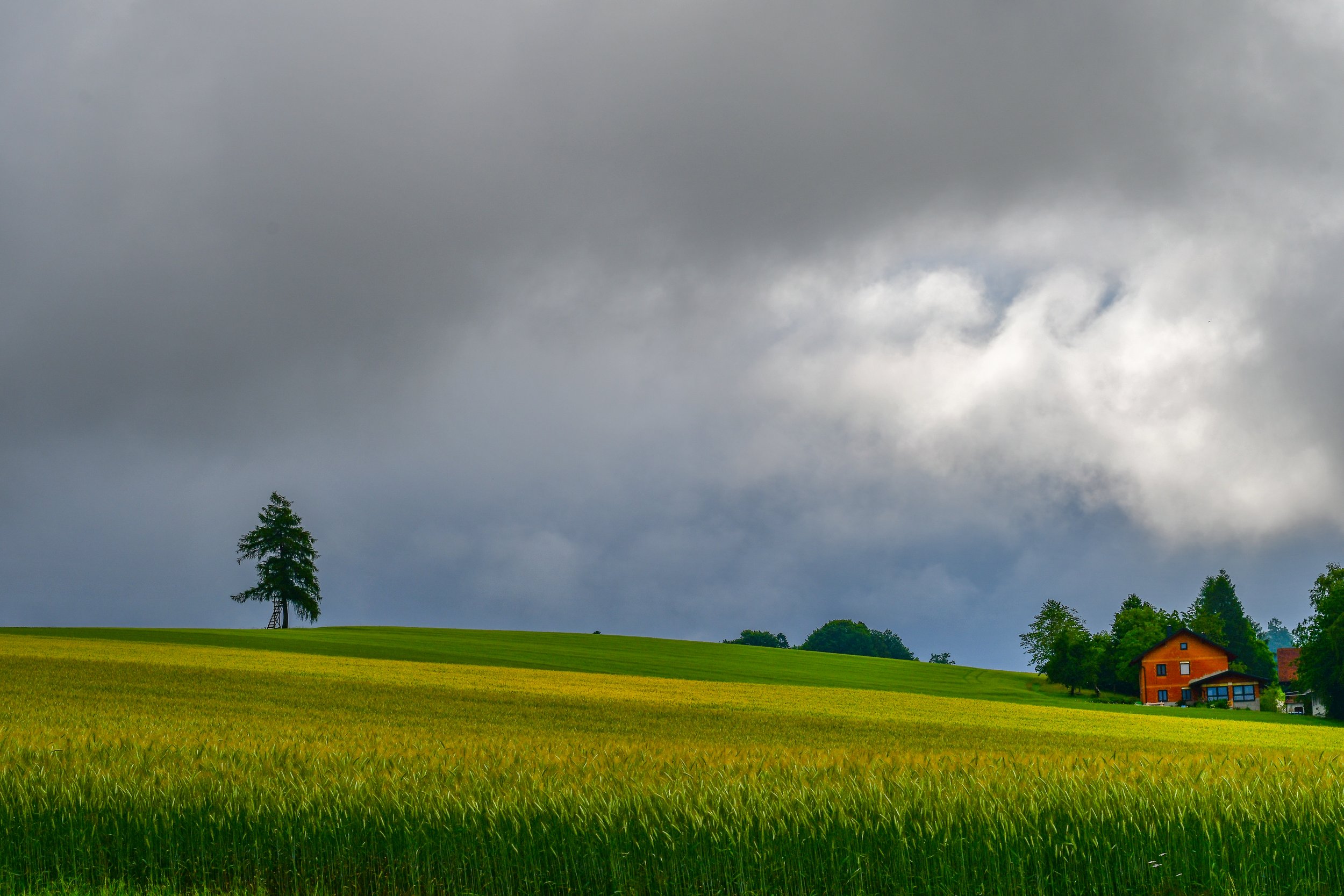 DSC_6672-2.jpg