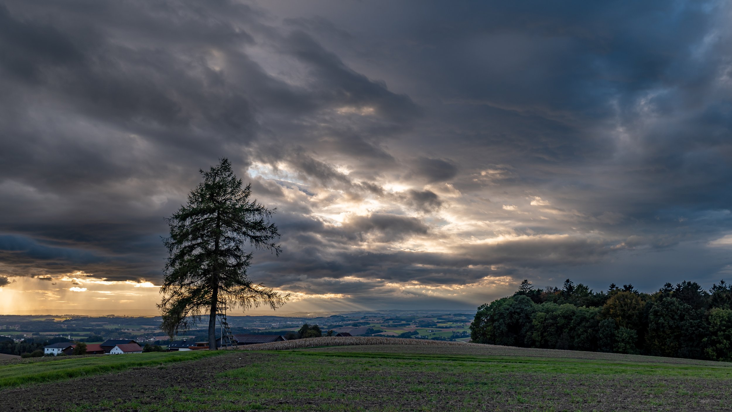 P1078449-2.jpg