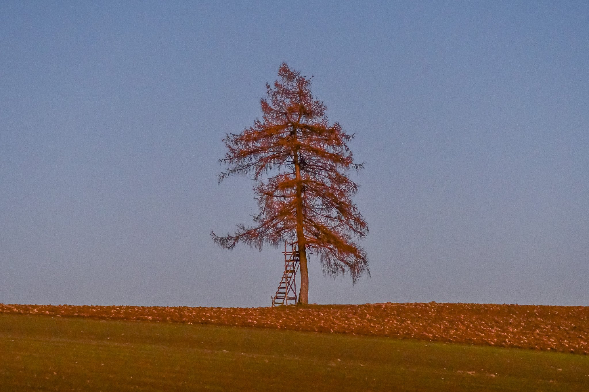 DSC_1091-3.jpg