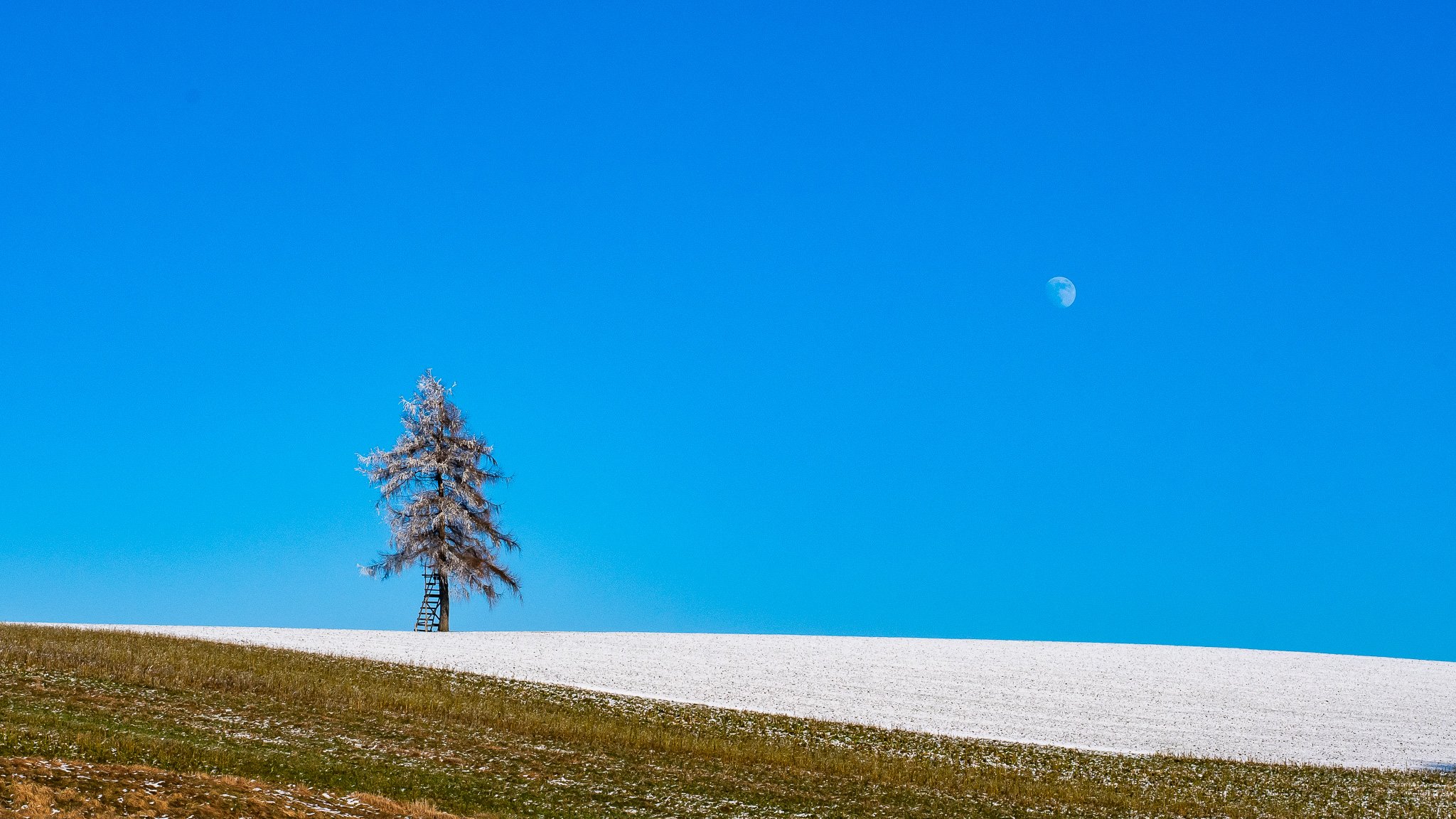 DSC_0369-2.jpg