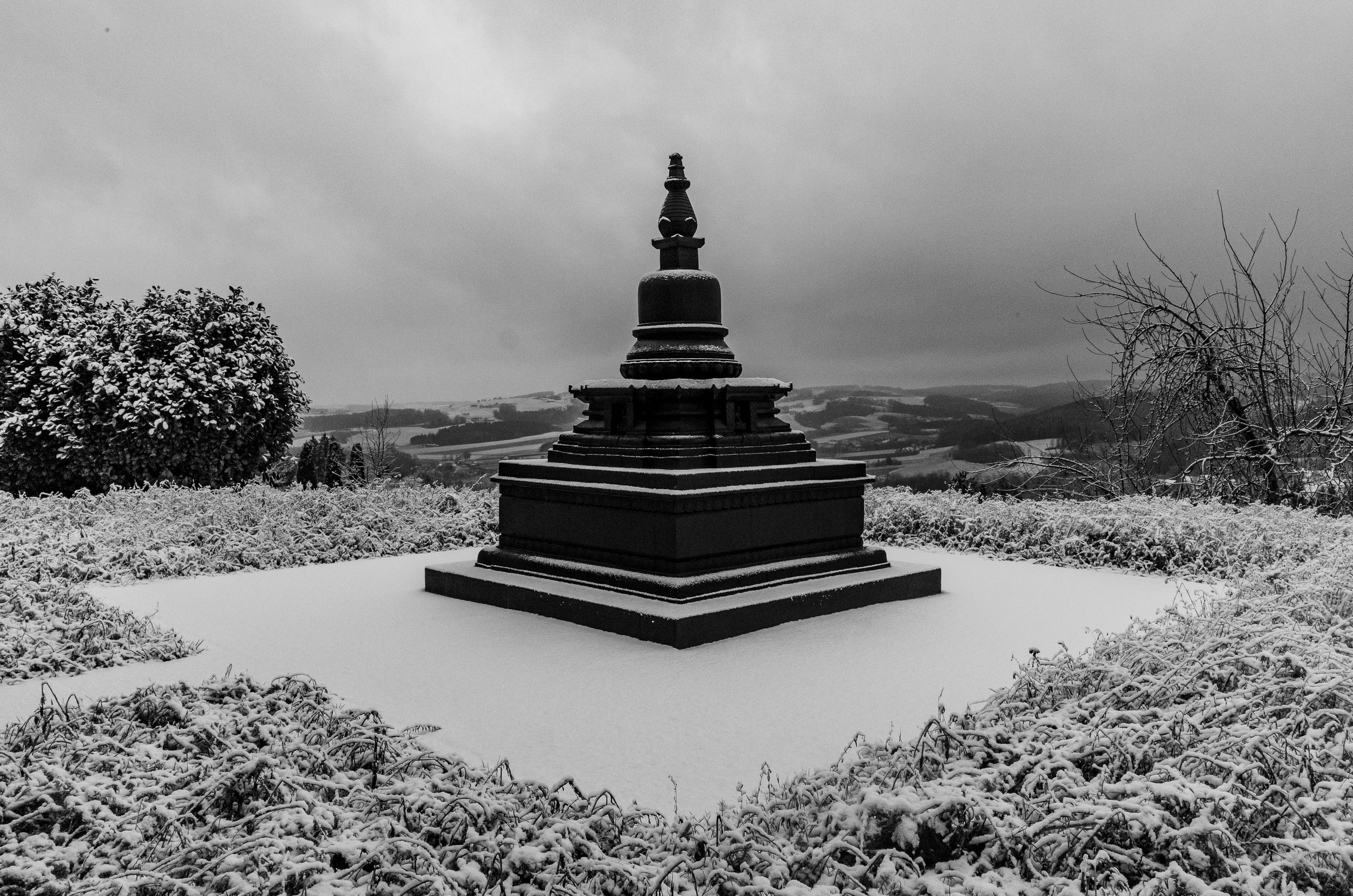 DSC_0841-2.jpg